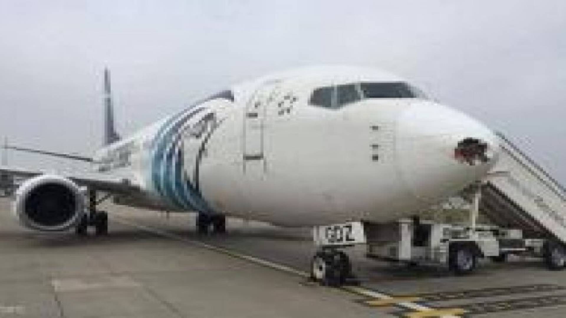 طائر يحطم مقدمة طائرة مصرية في لندن