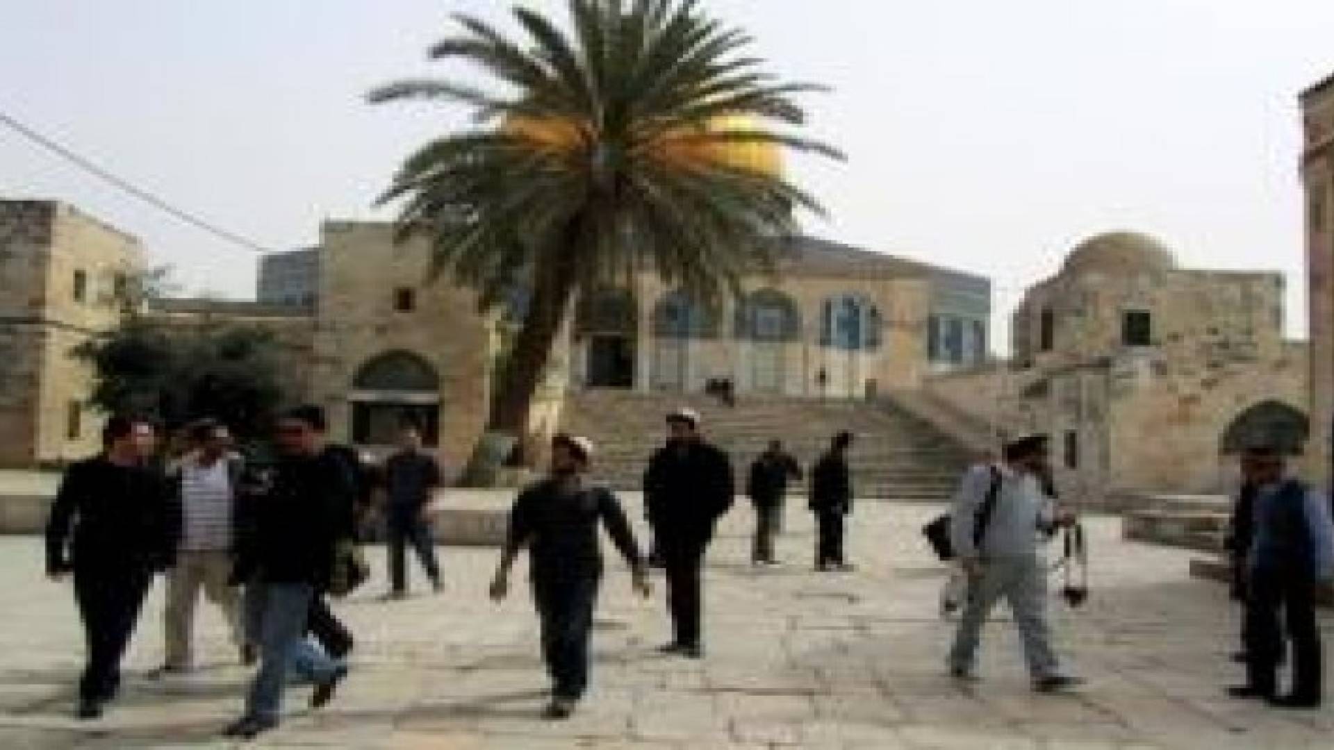 مستوطنون متطرفون يقتحمون باحات الأقصى