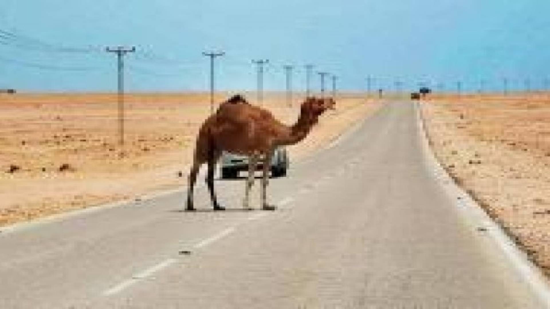 الأمن يدعو للحذر الشديد على الطرق الخارجية