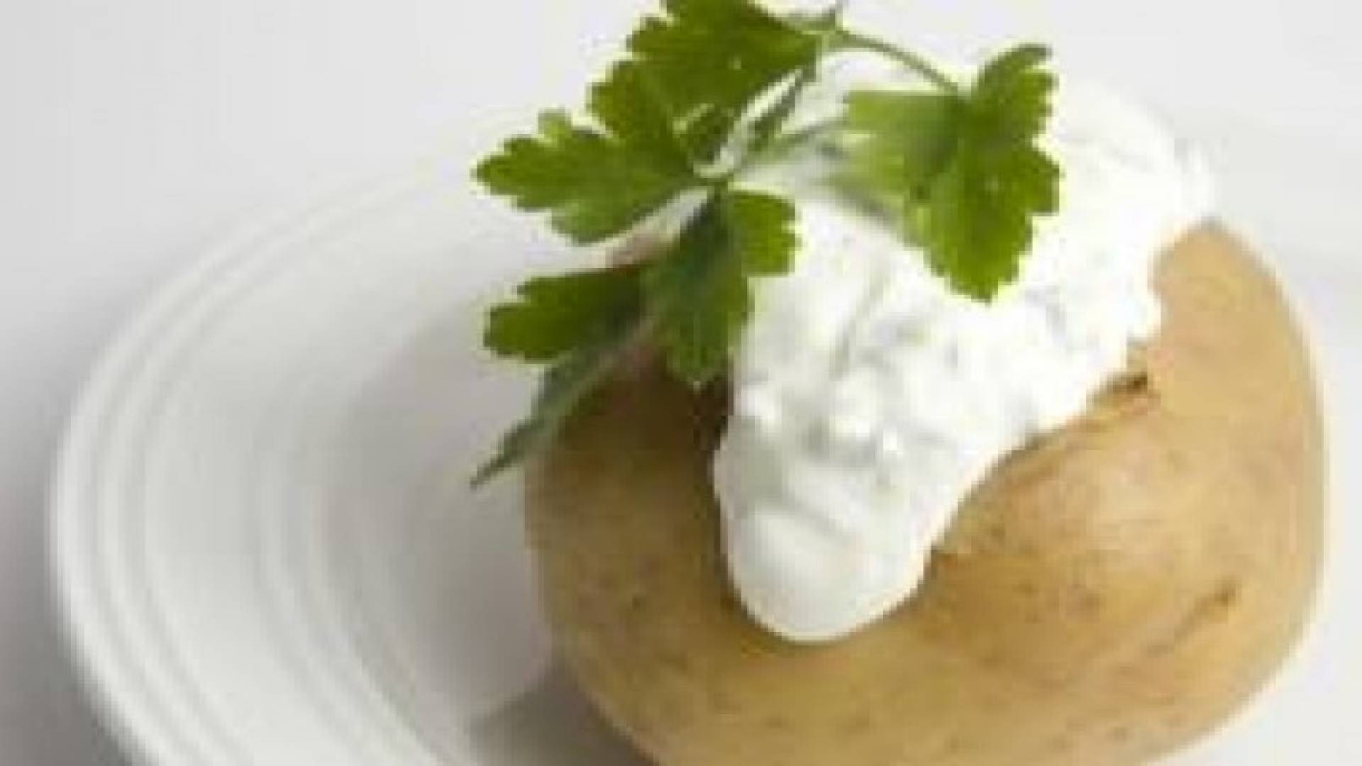 توصية بالجمع بين البروتينات النباتية والحيوانية