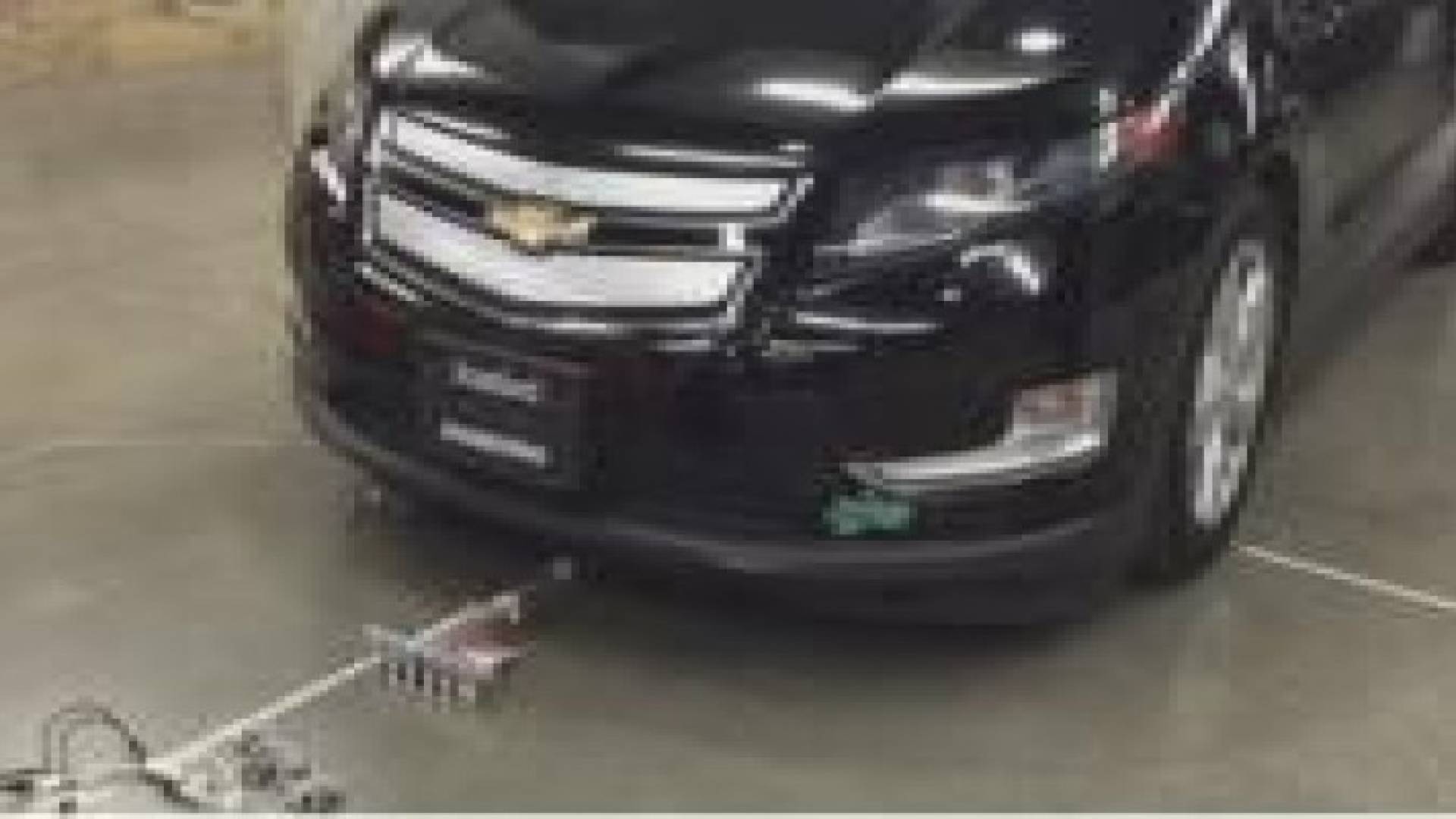 "نمل" يسحب سيارة بوزن 1800 كيلو