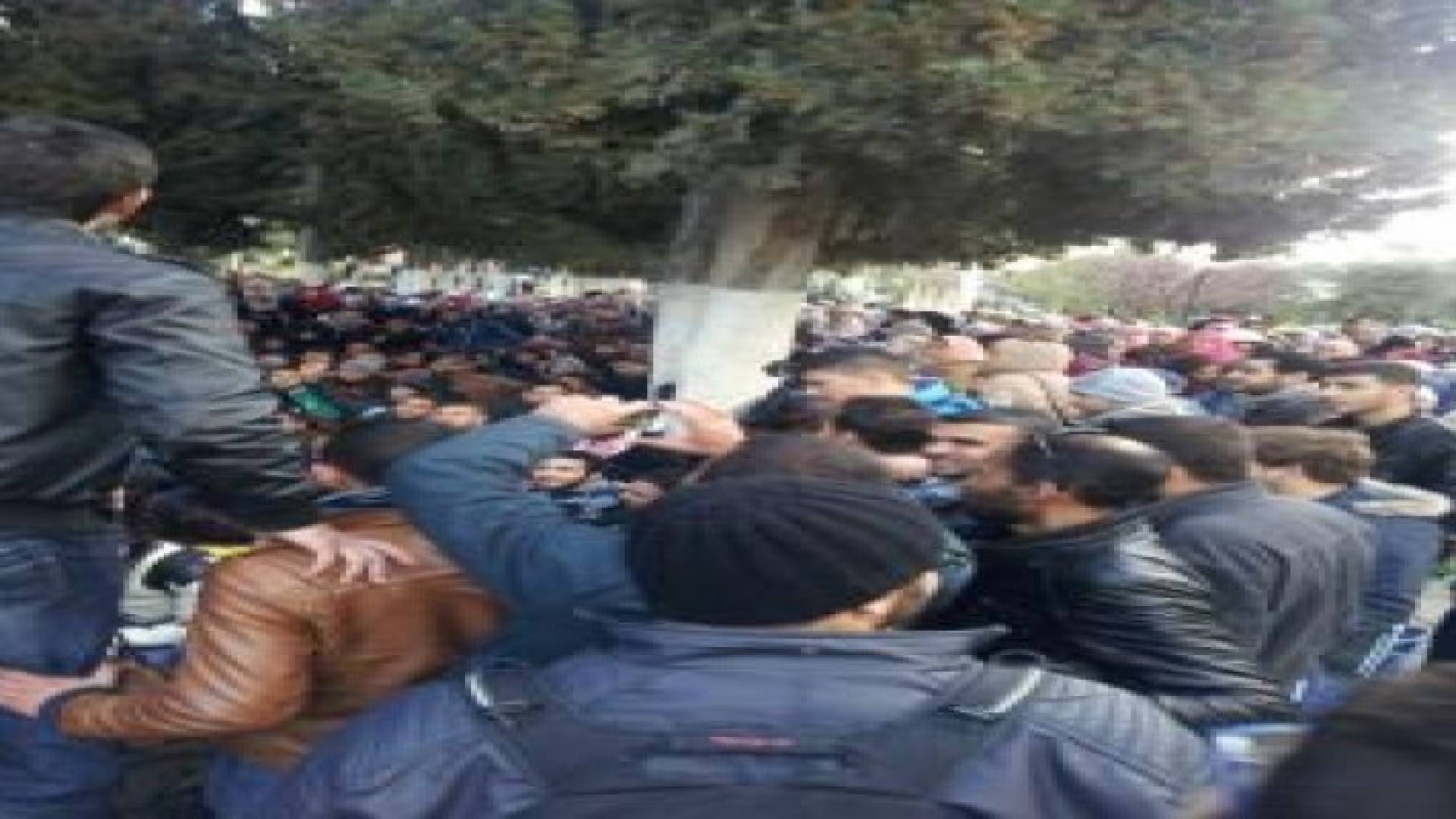 بدران لرؤيا : الطلبة حصلوا على الوثيقة المطلوبة .. تفاصيل