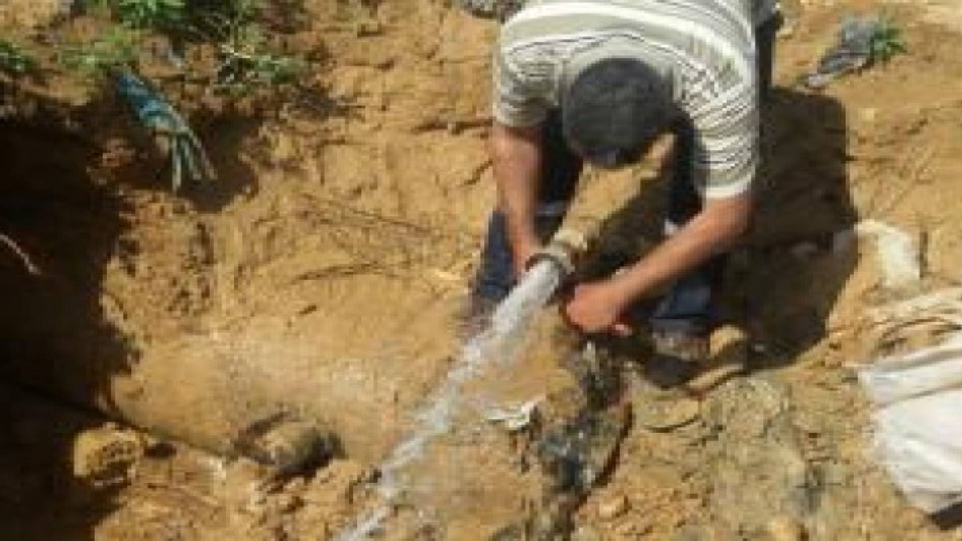 (8393) اعتداء على قناة الملك عبد الله ومنطقة وادي الأردن