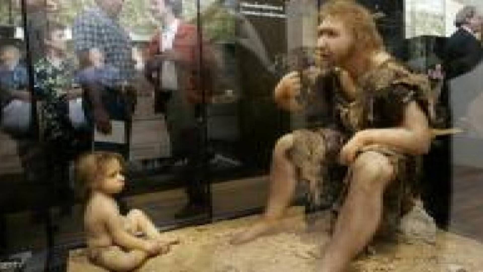 الإنسان الذي ننتمي له تزوج أنواعا منقرضة