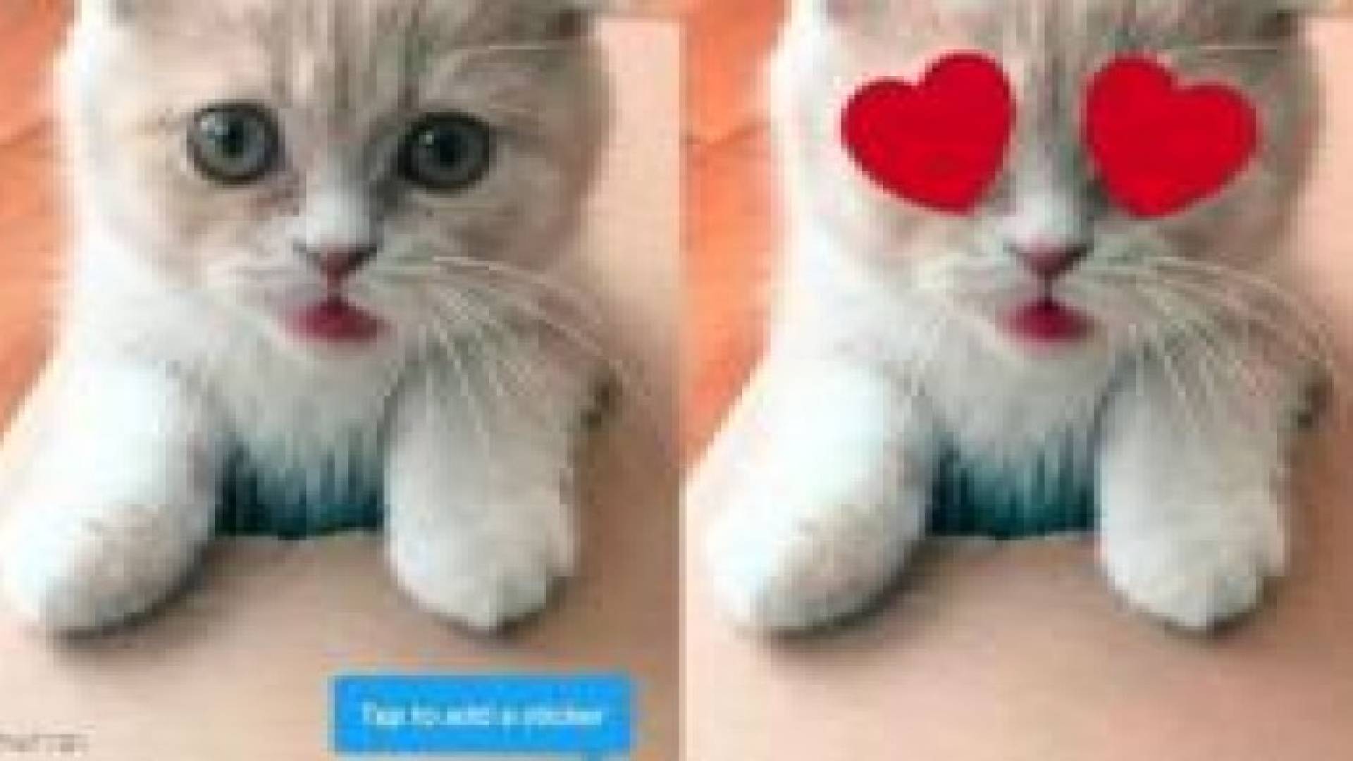 تويتر يختبر ميزة "ملصقات" جديدة
