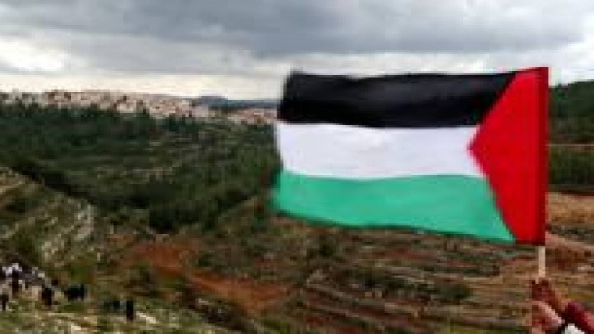 في يوم الأرض:فلسطينيو48 يواجهون مخطط مستوطنة حريش