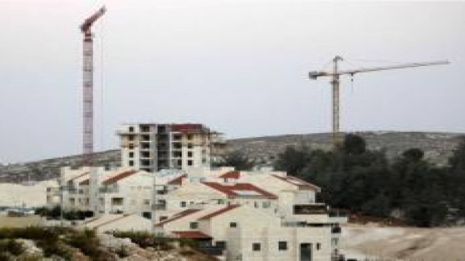 الاحتلال يصادق على بناء 18 وحدة استيطانية بجبل المكبر بالقدس