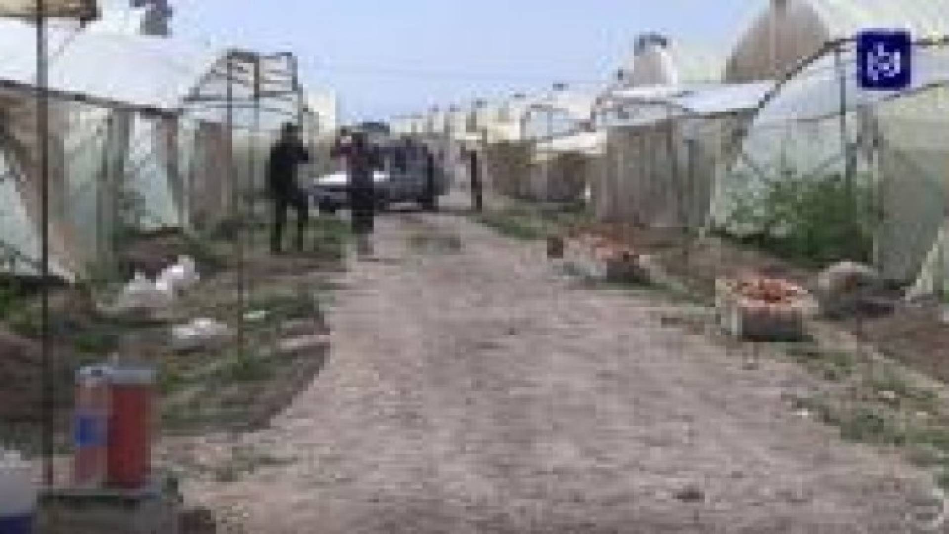 ملف الأسبوع: مزارعو الأغوار بين مطرقة الخسائر وسندان التصدير