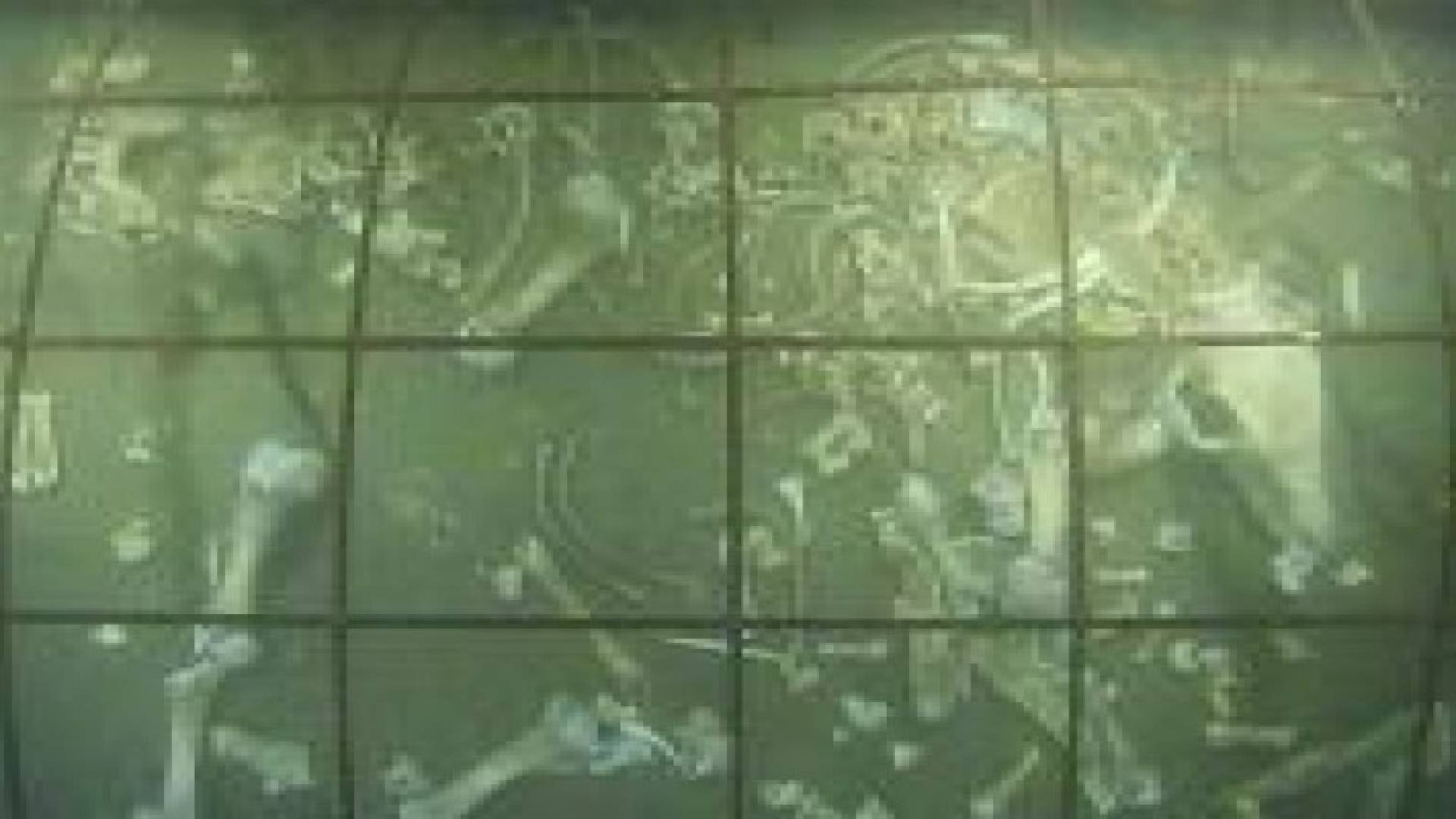 بالفيديو.. شاهد ماذا يحدث للجثث في أعماق البحار