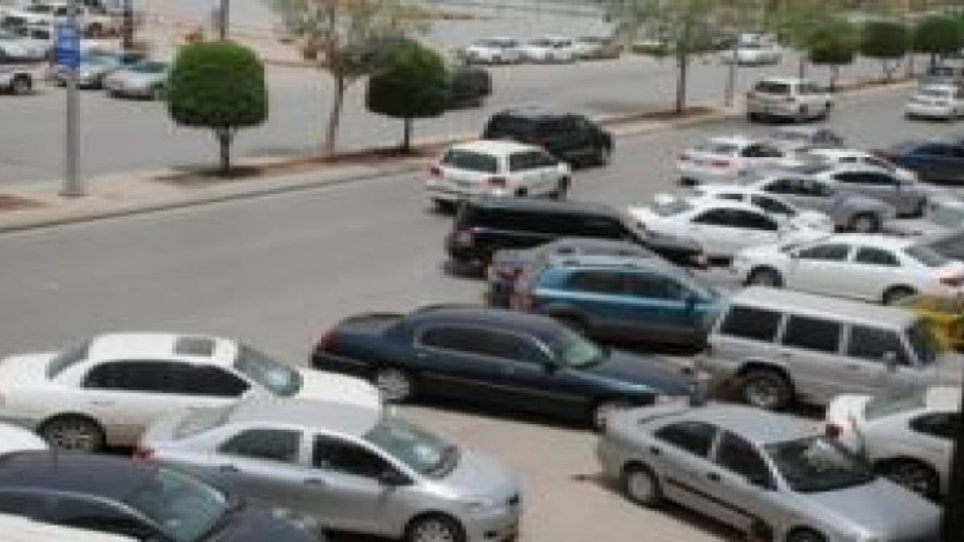 حصيلة مخالفات الحملة المرورية خلال يومين