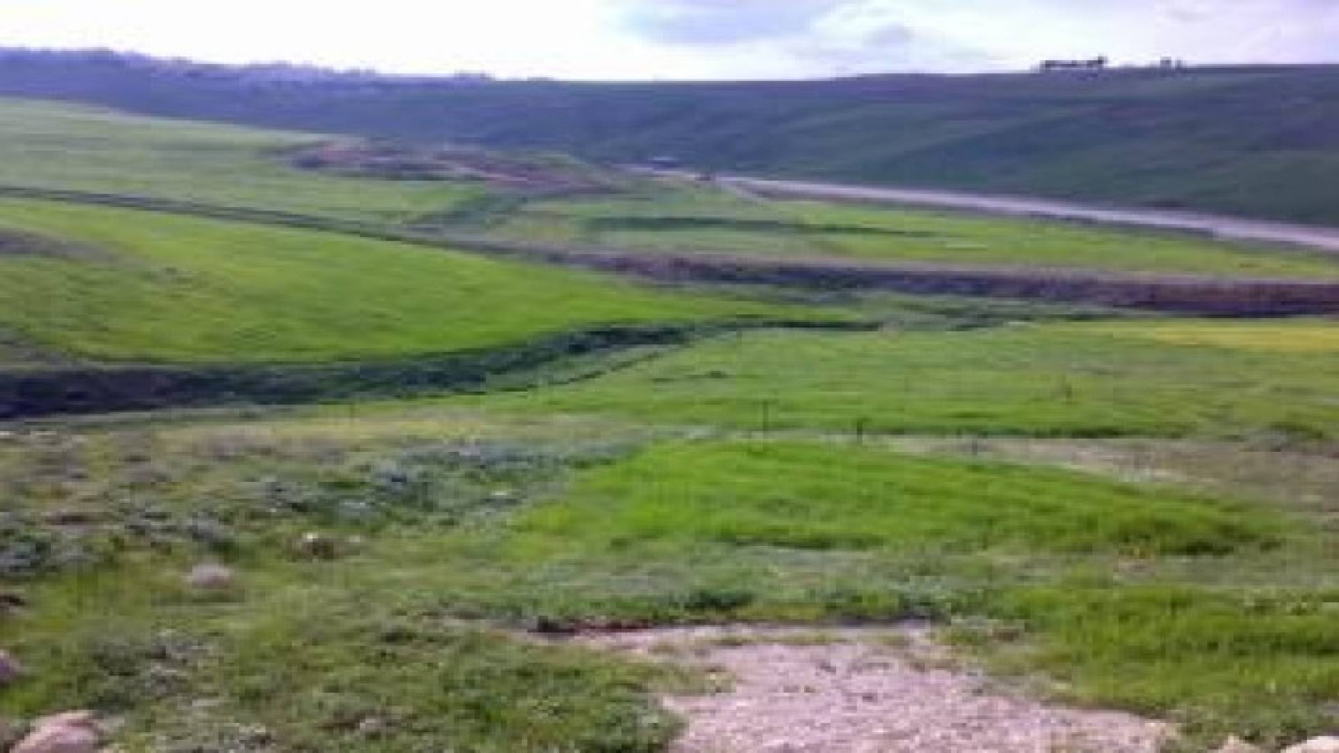 طقس الاثنين: أجواء ربيعية دافئة مستمرة