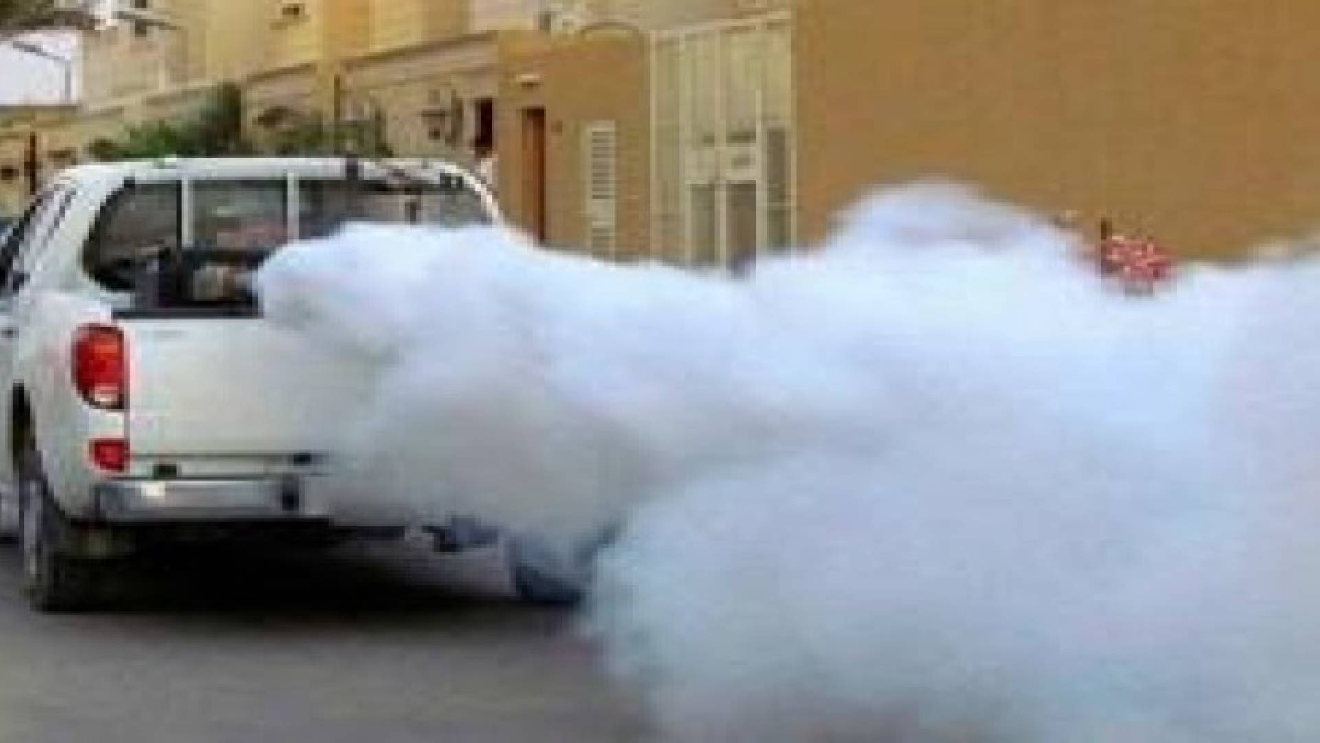 أمانة عمان تبدأ برنامج حملة مكافحة الحشرات لعام 2016