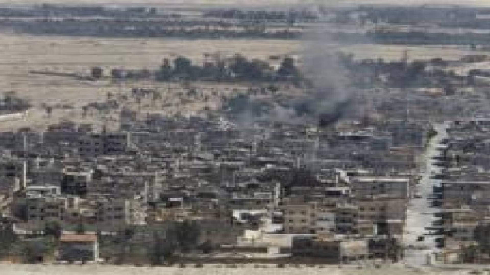 إزالة أكثر من 1500 لغم في مدينة تدمر السورية
