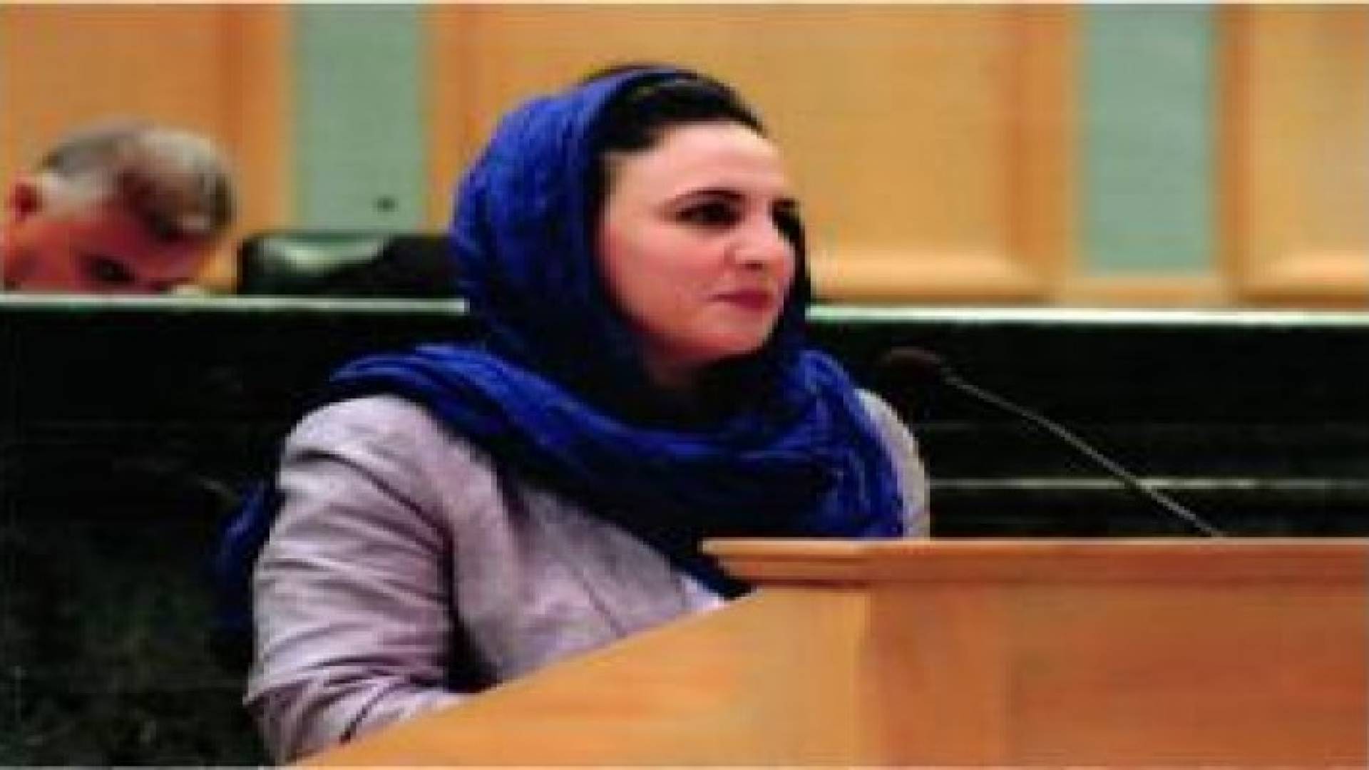 الخطاطبة : لم يتم تشكيل لجنة لصياغة نظام مجلس لشكاوى الاعلام