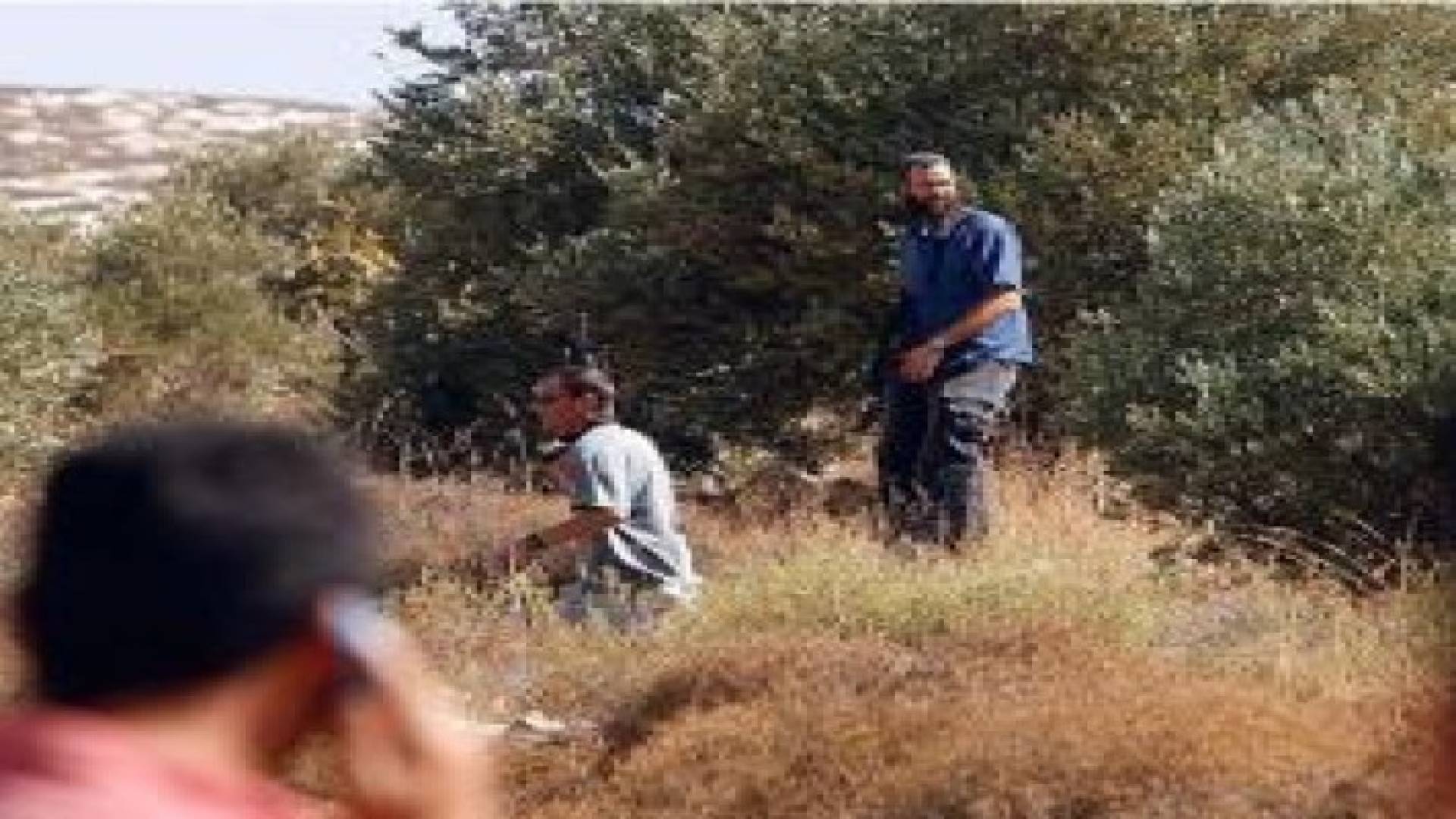 مستوطنون يستولون على ارض زراعية شمال غرب رام الله