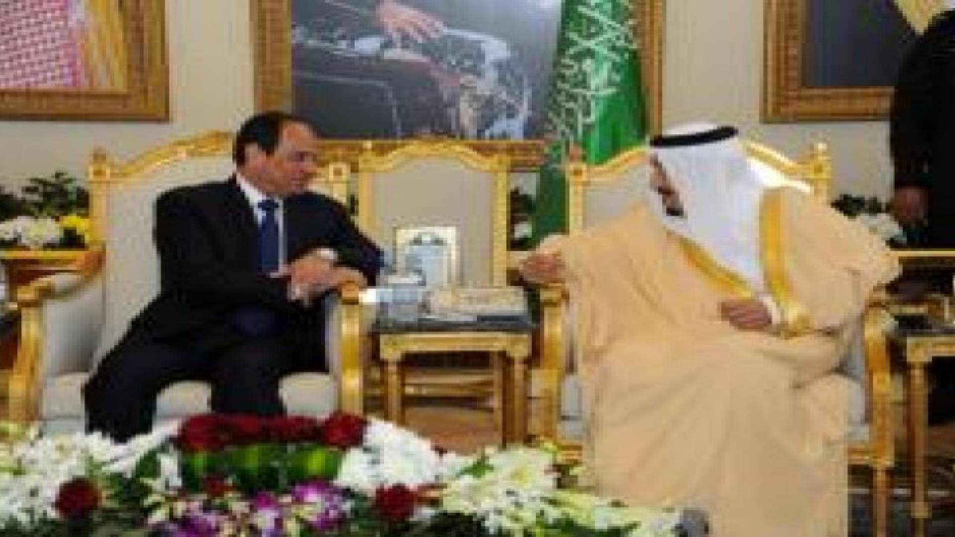 الأردن يعلق على " جسر سلمان " عند اكتمال ملامحه