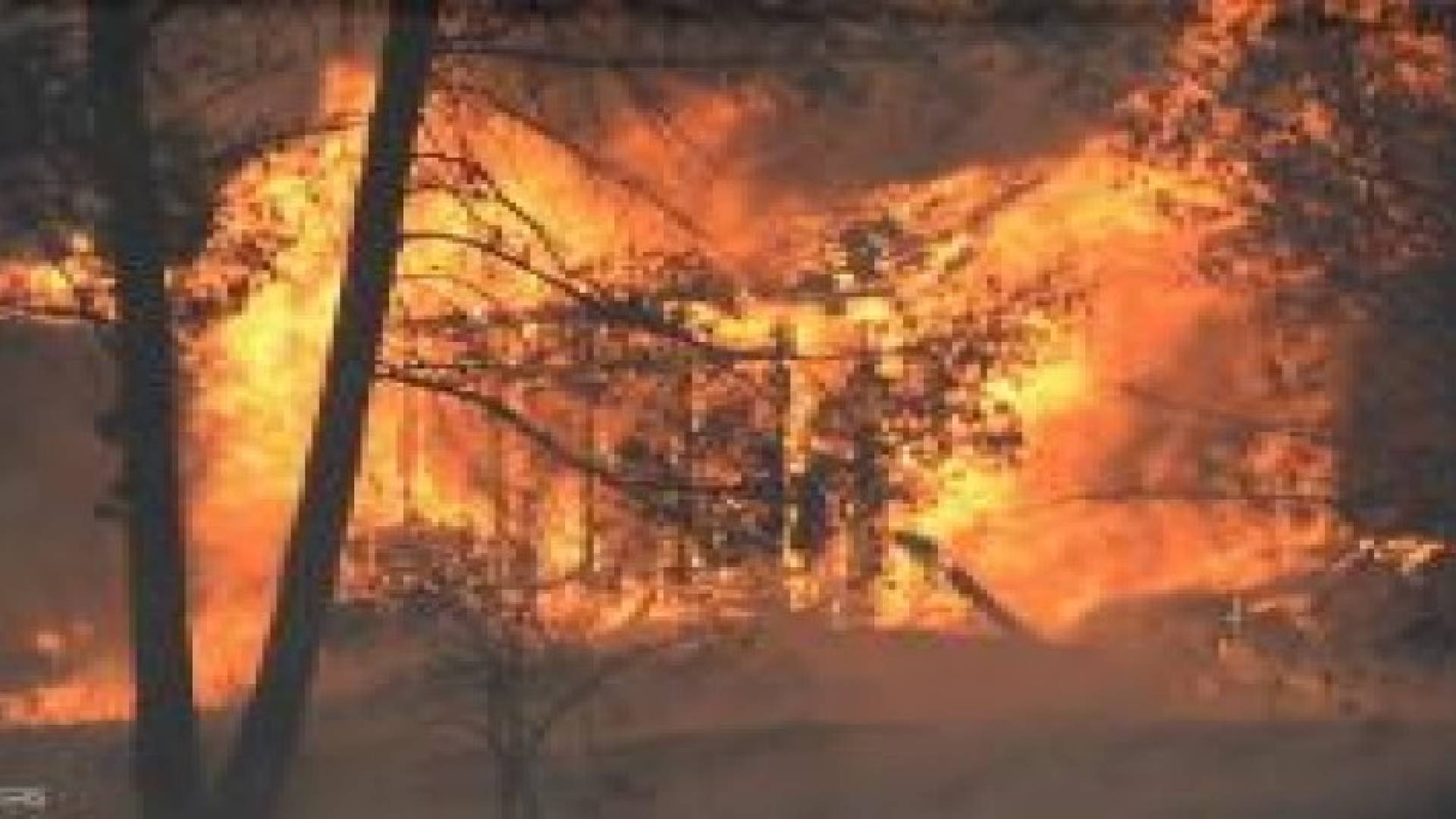 السجن 20 عاما وغرامة 60 مليون دولار لأنه حرق غابة
