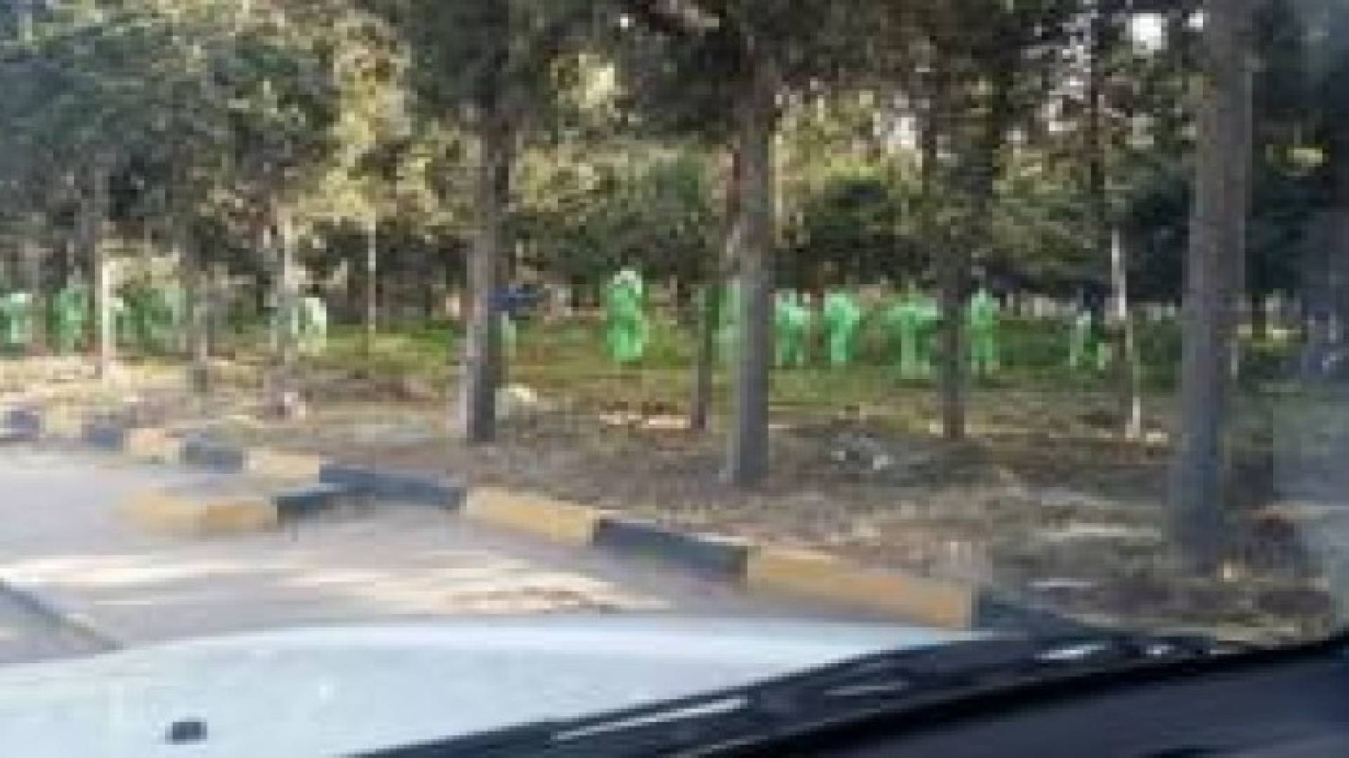 الامانة تواصل حملات تعشيب على سفوح الجبال واللوبات والجزر الوسطية