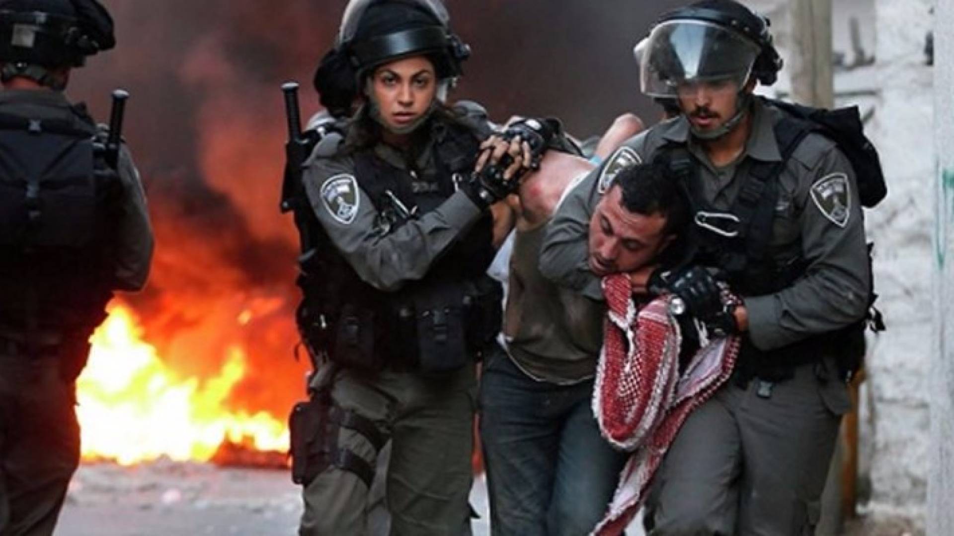 الاحتلال الاسرائيلي يعتقل عددا من الفلسطينيين 