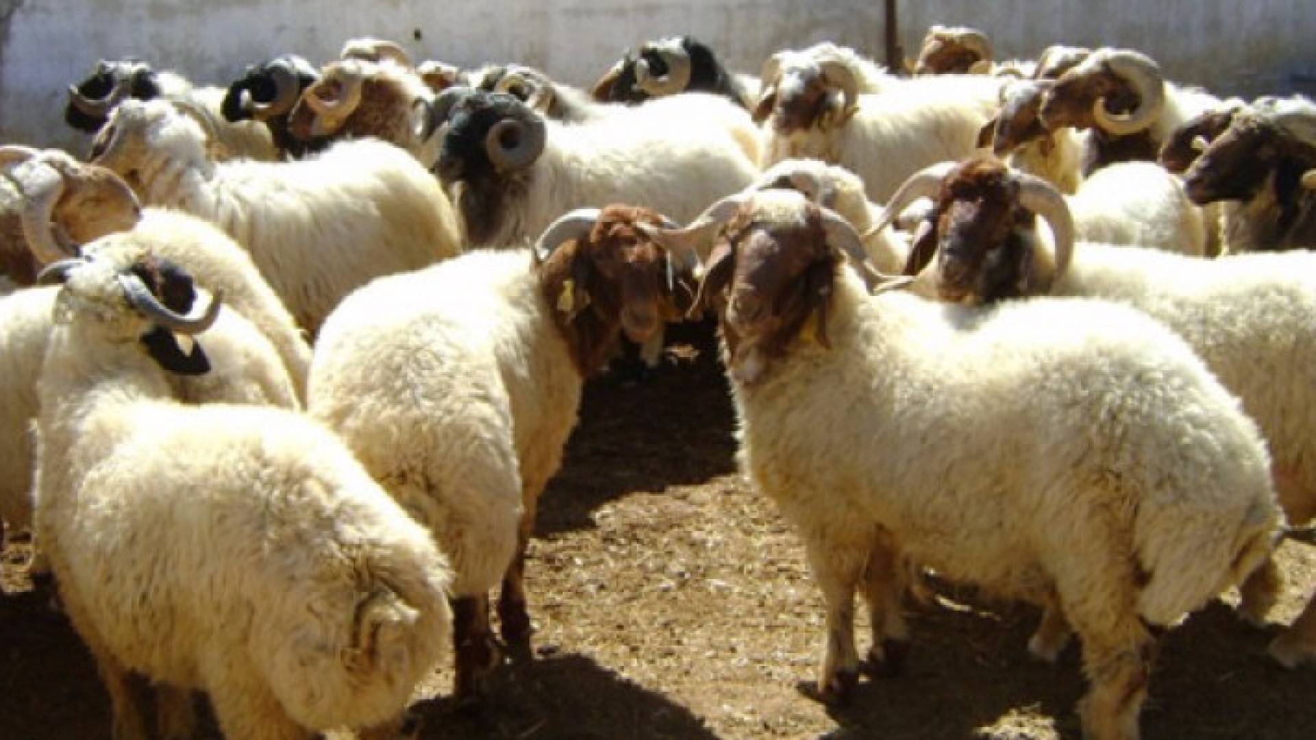 الصورة أرشيفية 