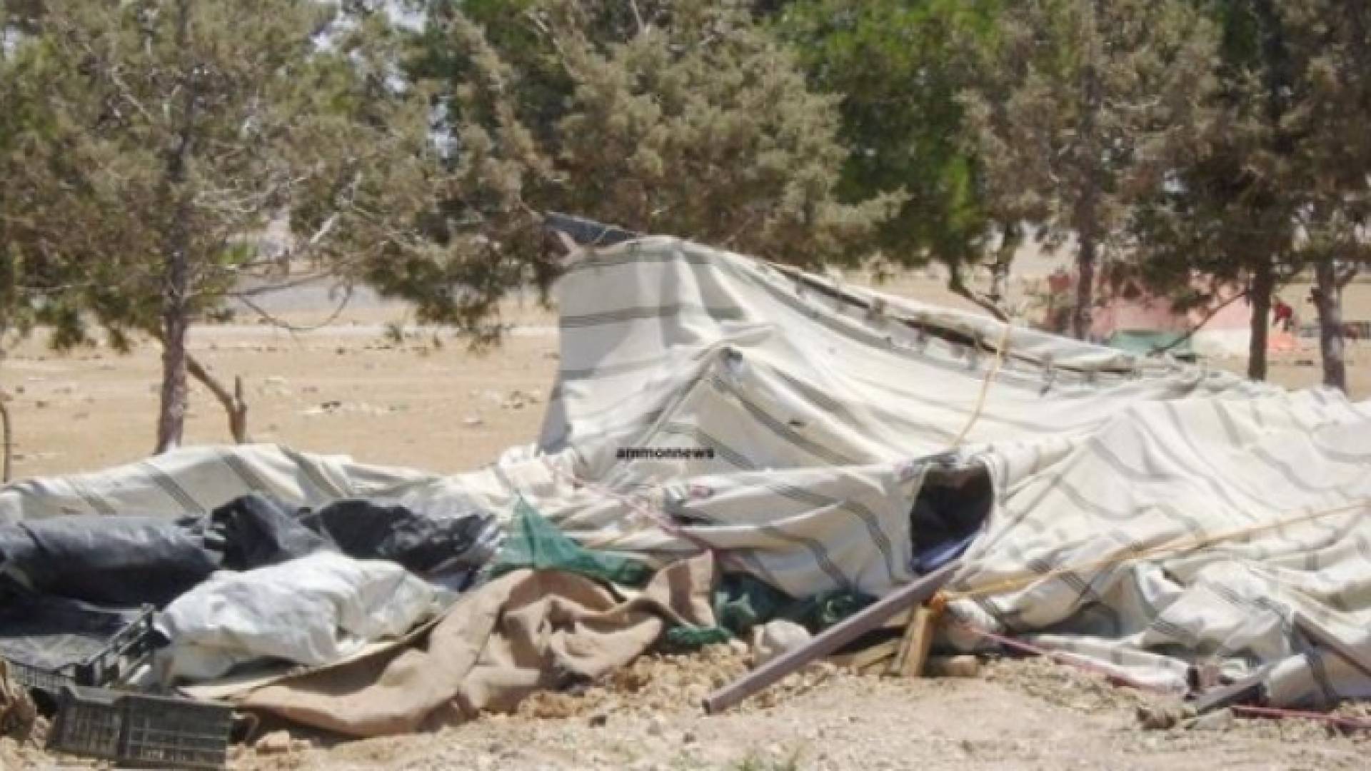 انذار الاكشاك غير المرخصة في اربد لازالتها