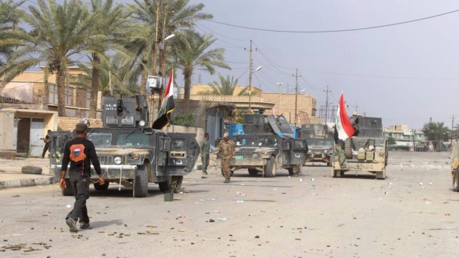 ارشيفية
