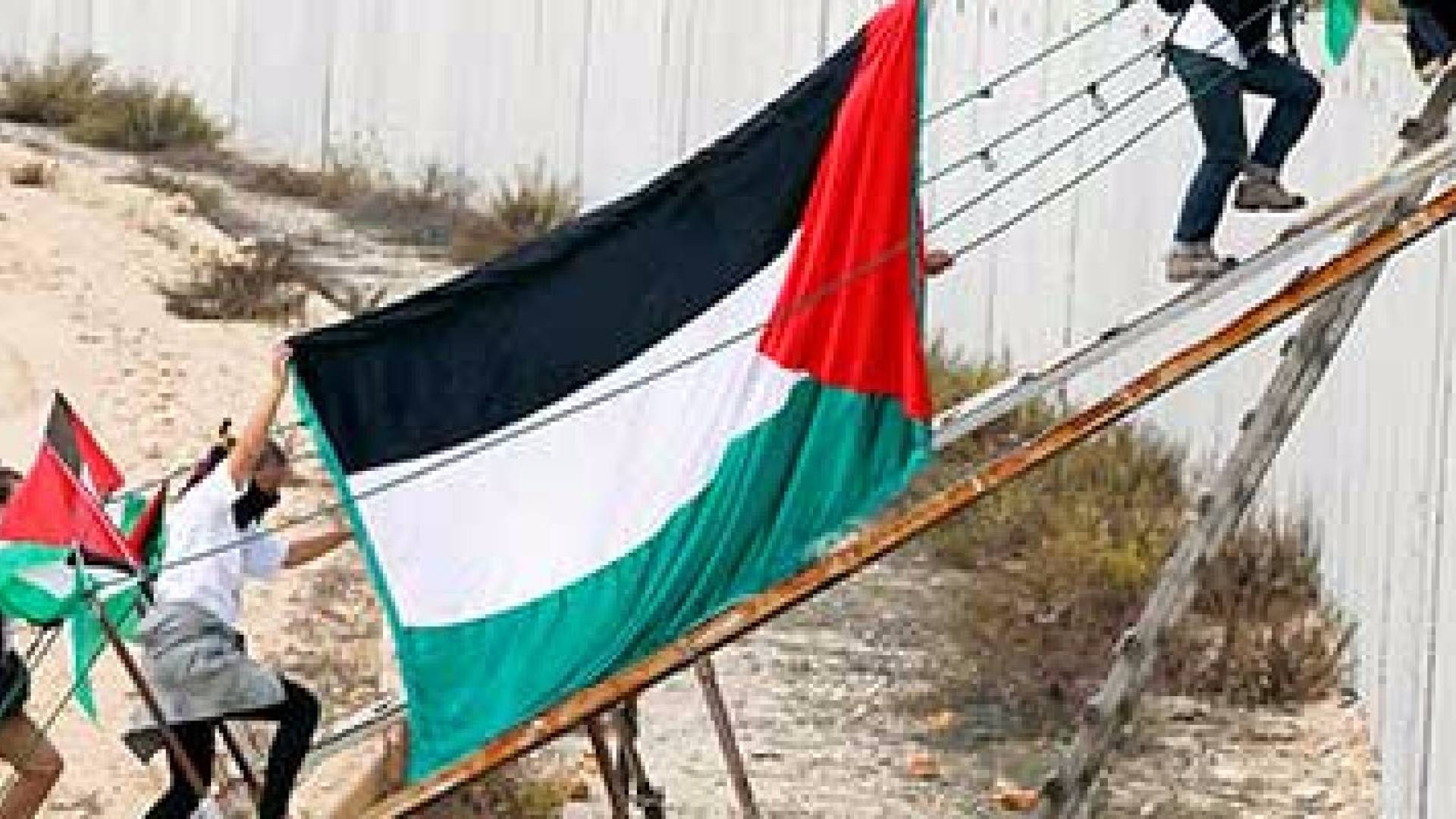 الصورة أرشيفية 