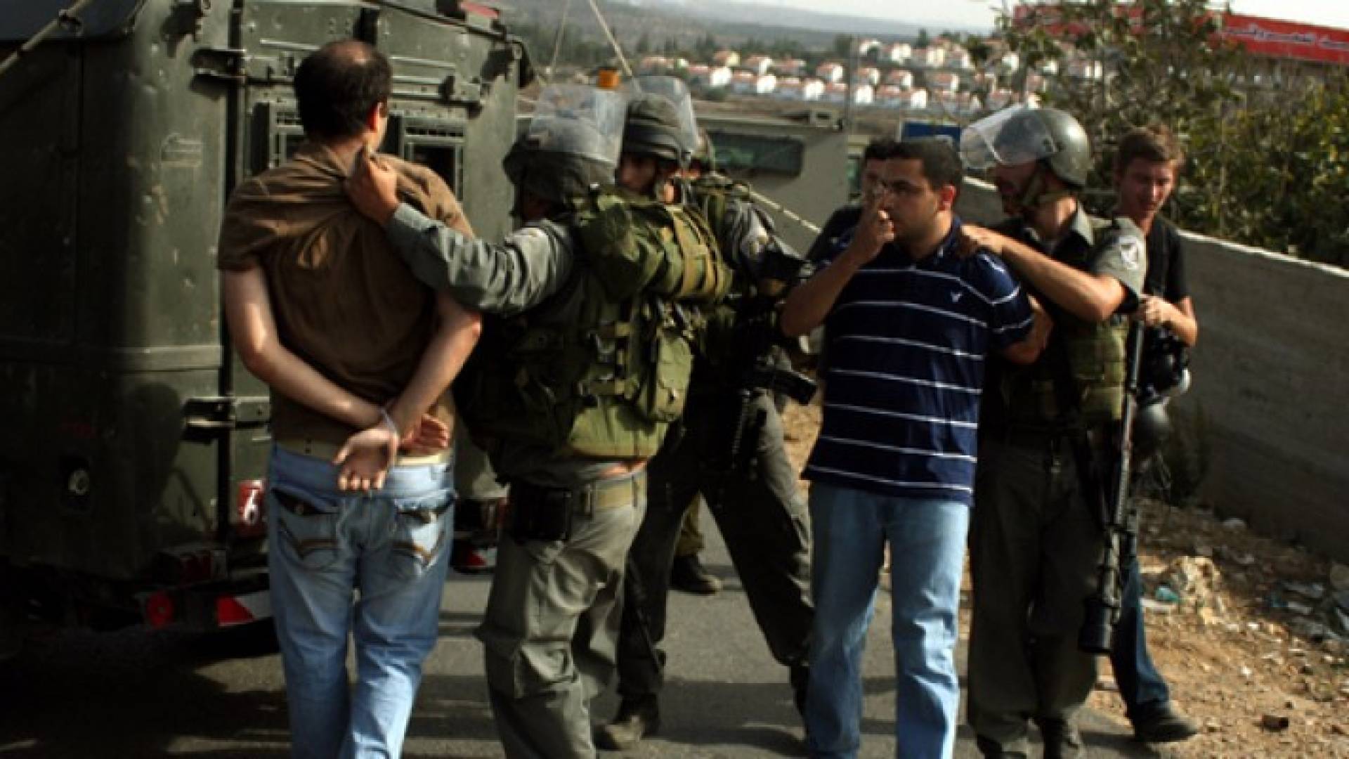 ارشيفية