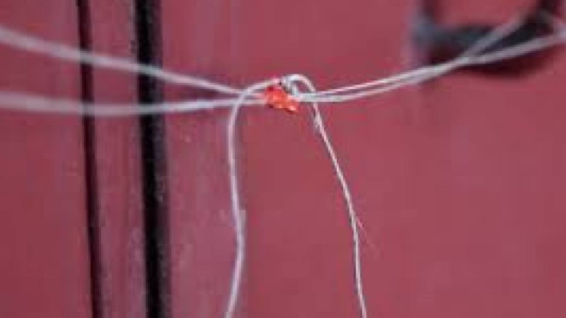 إغلاق مخابز ومعامل ألبان وملاحم في الاغوار الشمالية