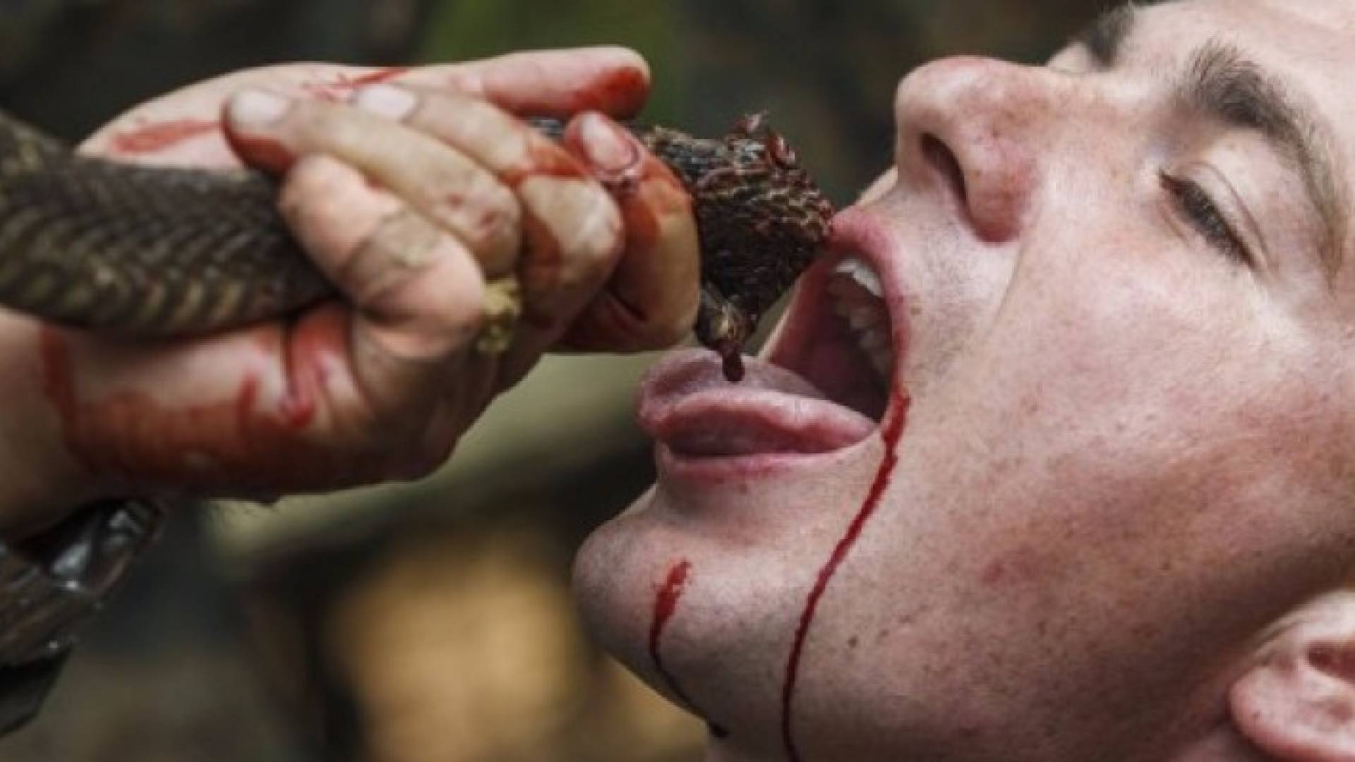 أحد مشاة البحرية وهو يشرب دم ثعبان كوبرا خلال تدريب في الغابات