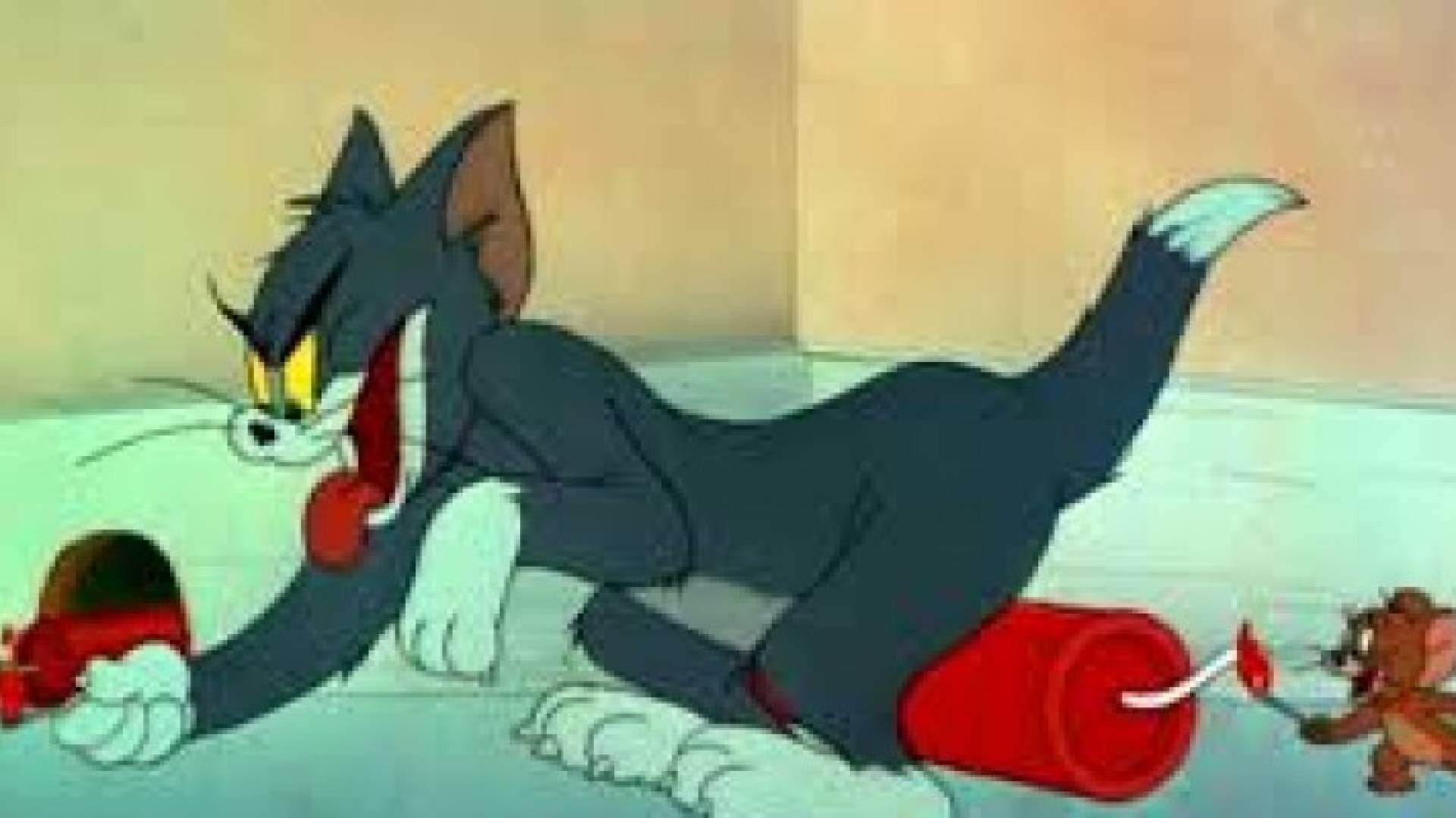 مسؤول مصري يحمل "توم وجيري" مسؤولية نشر الإرهاب!