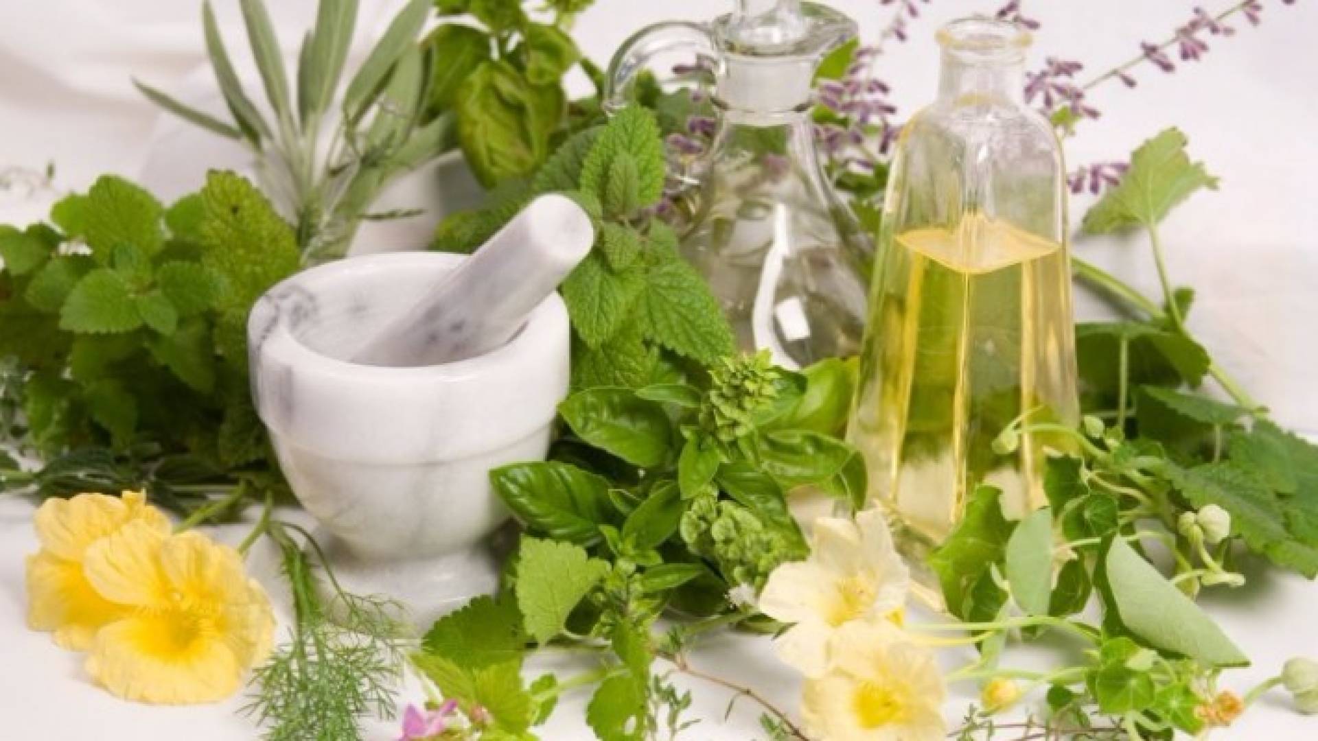 أعشاب سحرية.. تقوي الذاكرة وتساعد على التركيز