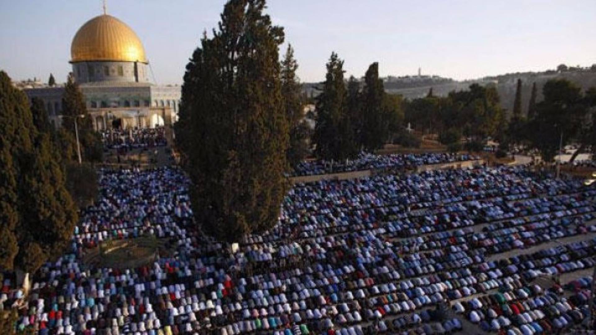 300 مصل من غزة في طريقهم إلى الاقصى