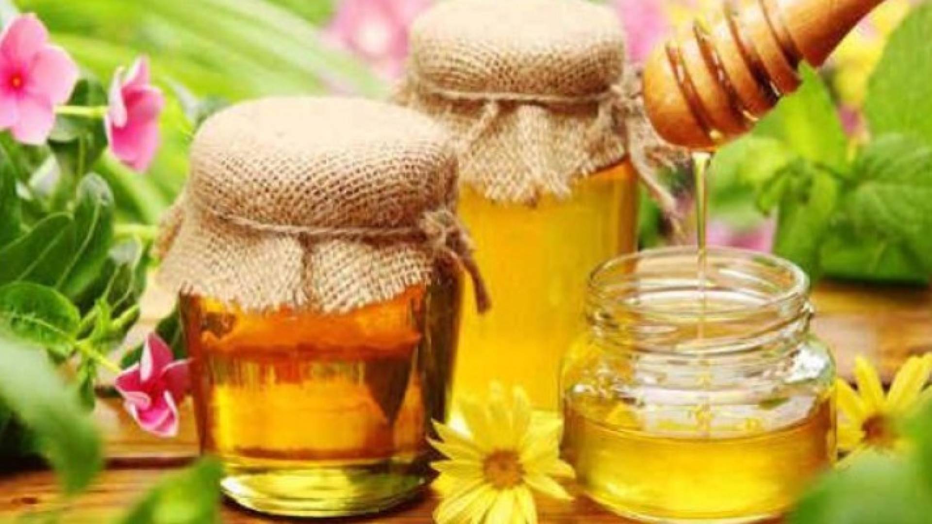 وصفات منزلية لمقاومة "الحساسية" وعلى رأسها العسل