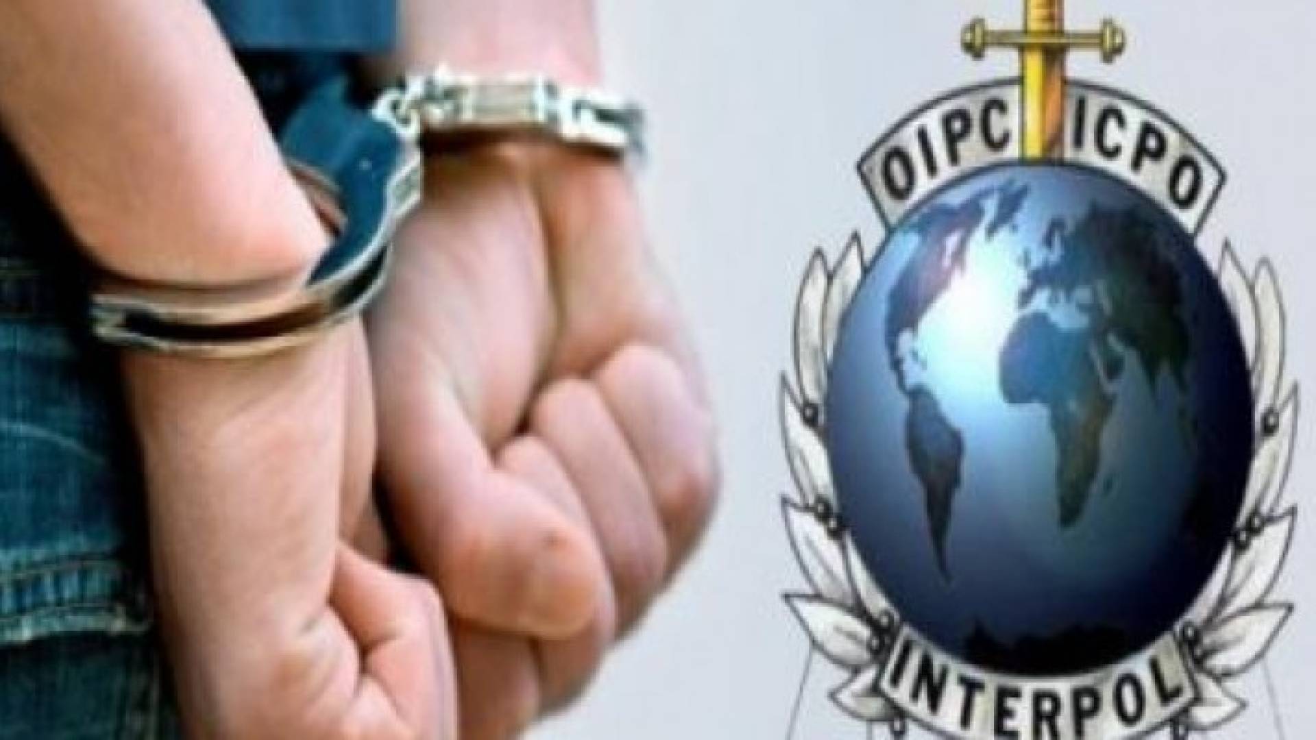 شعار الانتربول 