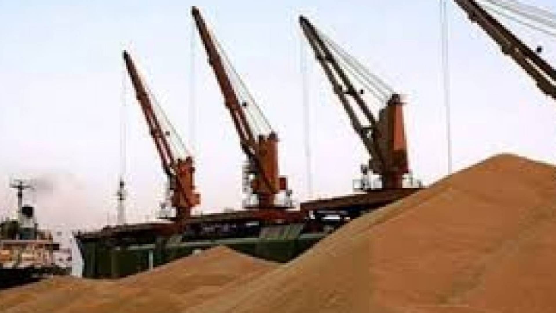 الأردن يطرح مناقصة لشراء 100 ألف طن قمحا ومثلها شعيرا