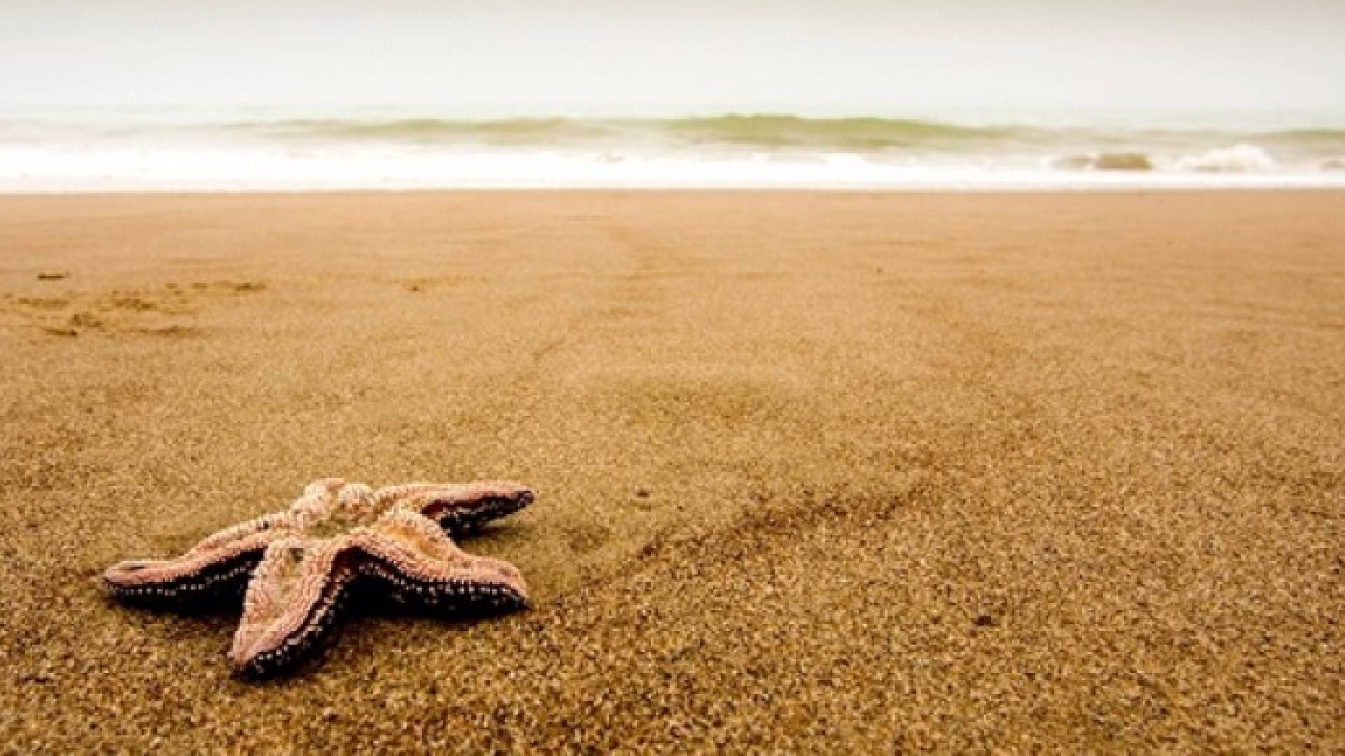 رمال الشاطئ تعكس الأشعة فوق البنفسجية