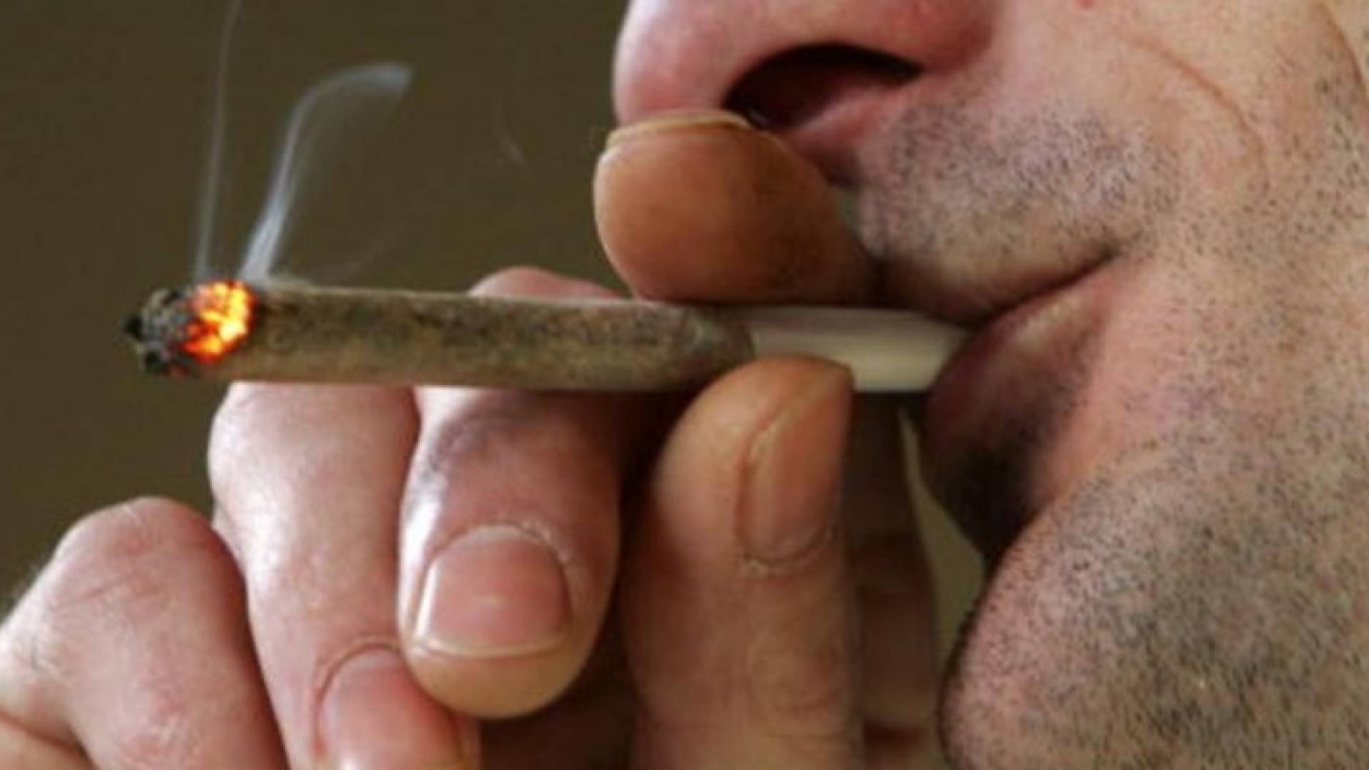 أول مدينة تمول مشروعات خيرية من "عائدات ماريغوانا"