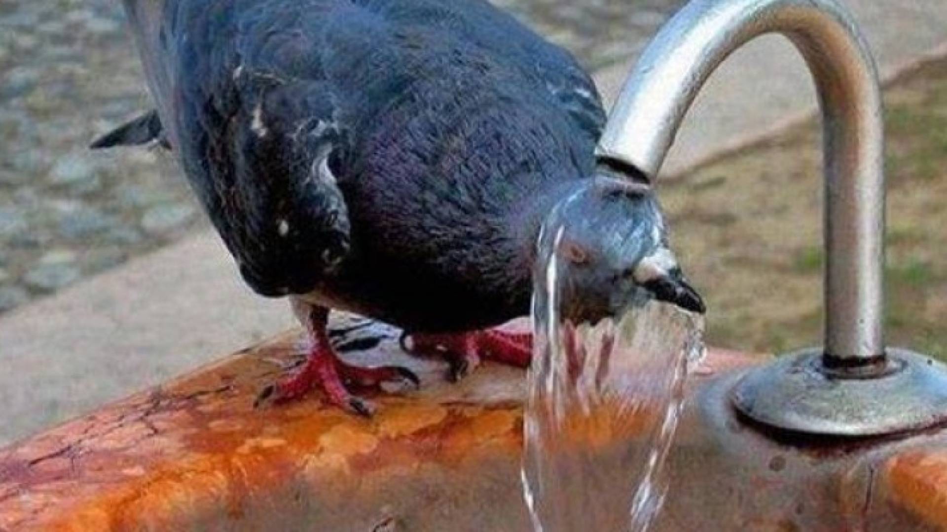 الصورة أرشيفية 