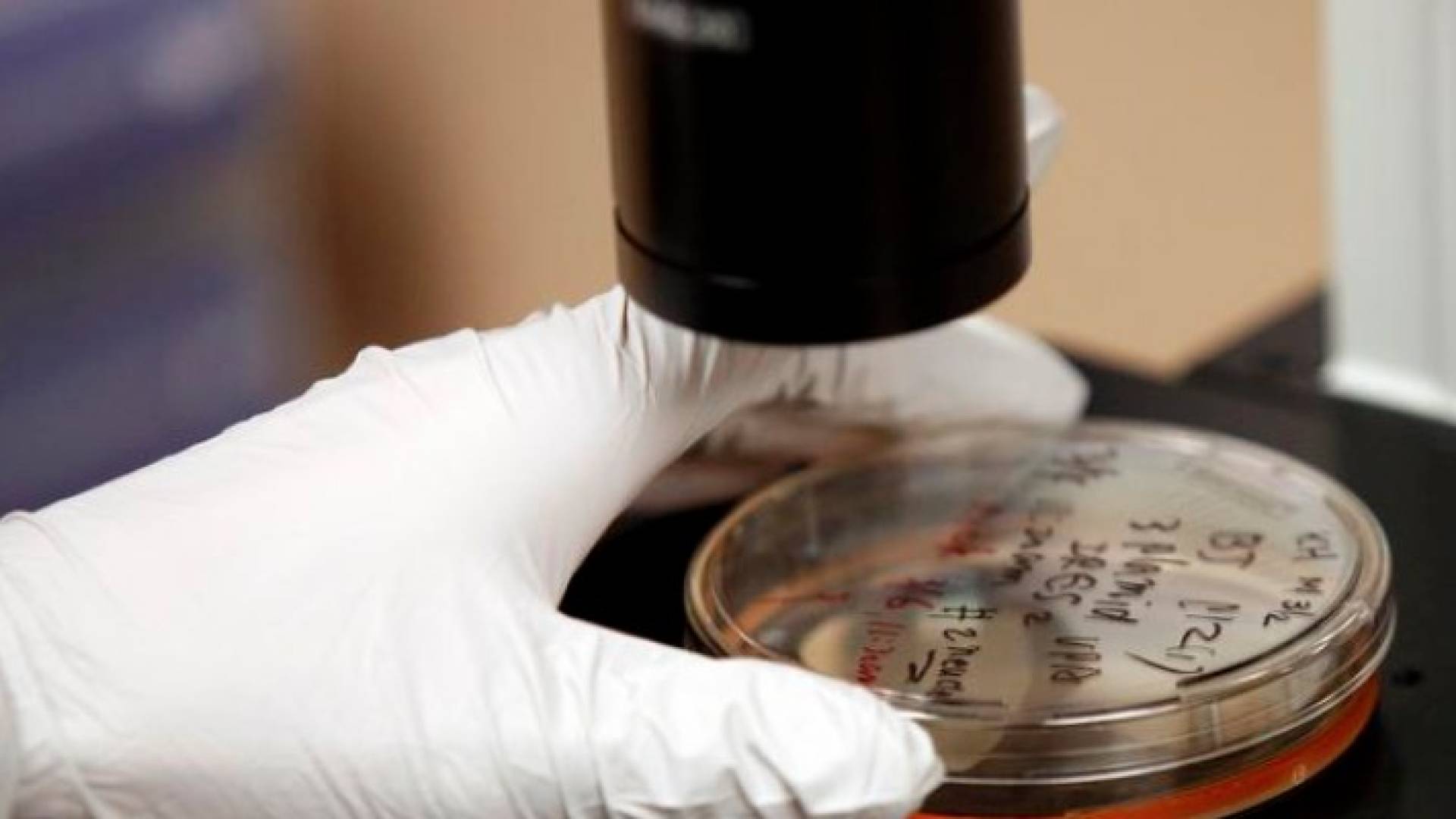 الصورة تعبيرية 