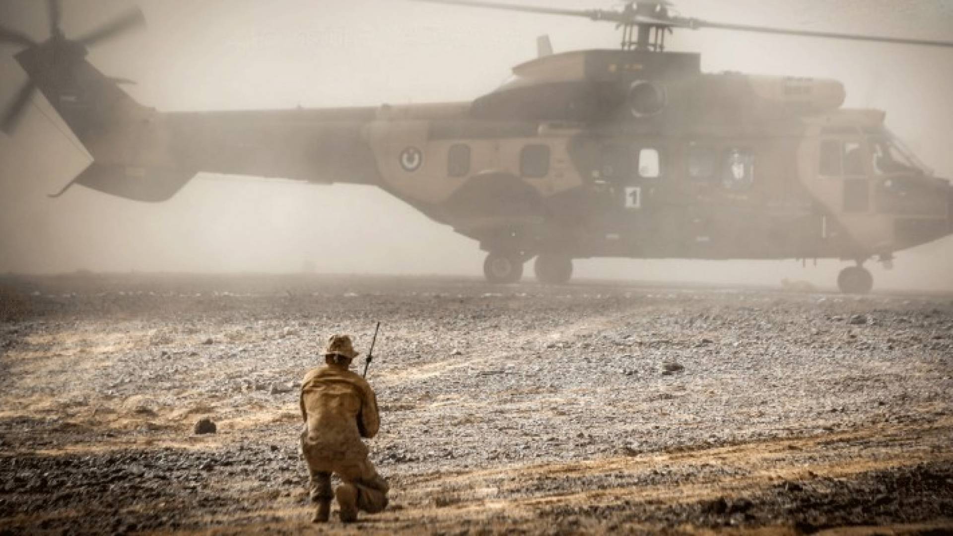 انطلاق مناورات الأسد المتأهب 2016