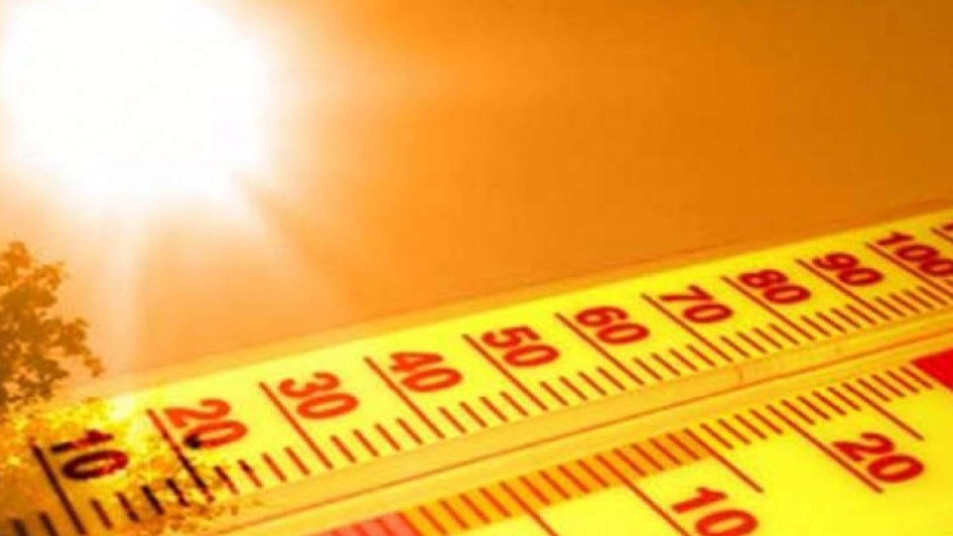 ذروة الكتلة الهوائية الحارة الإثنين.. العظمى تقارب 40 مئوية في عمان والزرقاء