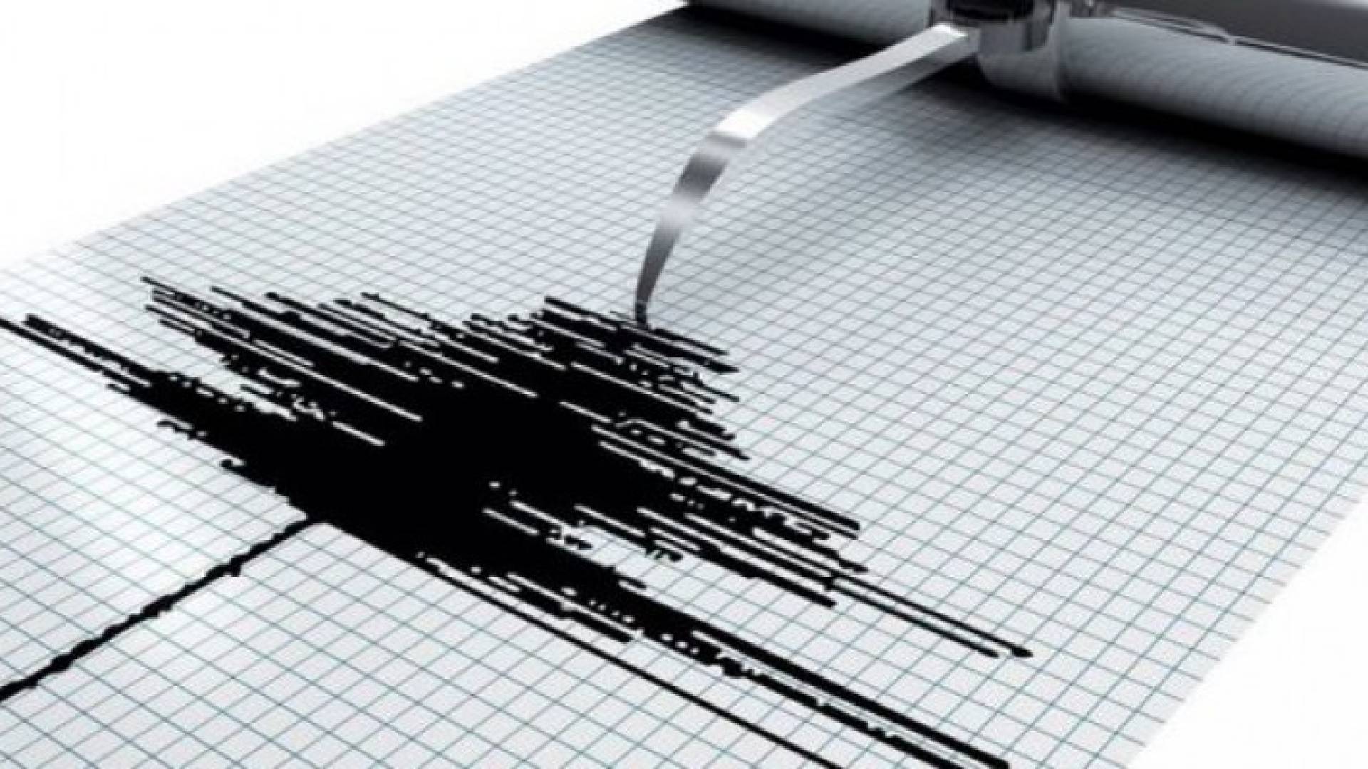 هزة أرضية بقوة 4.8 درجة في جنوب المملكة و مصر والسعودية