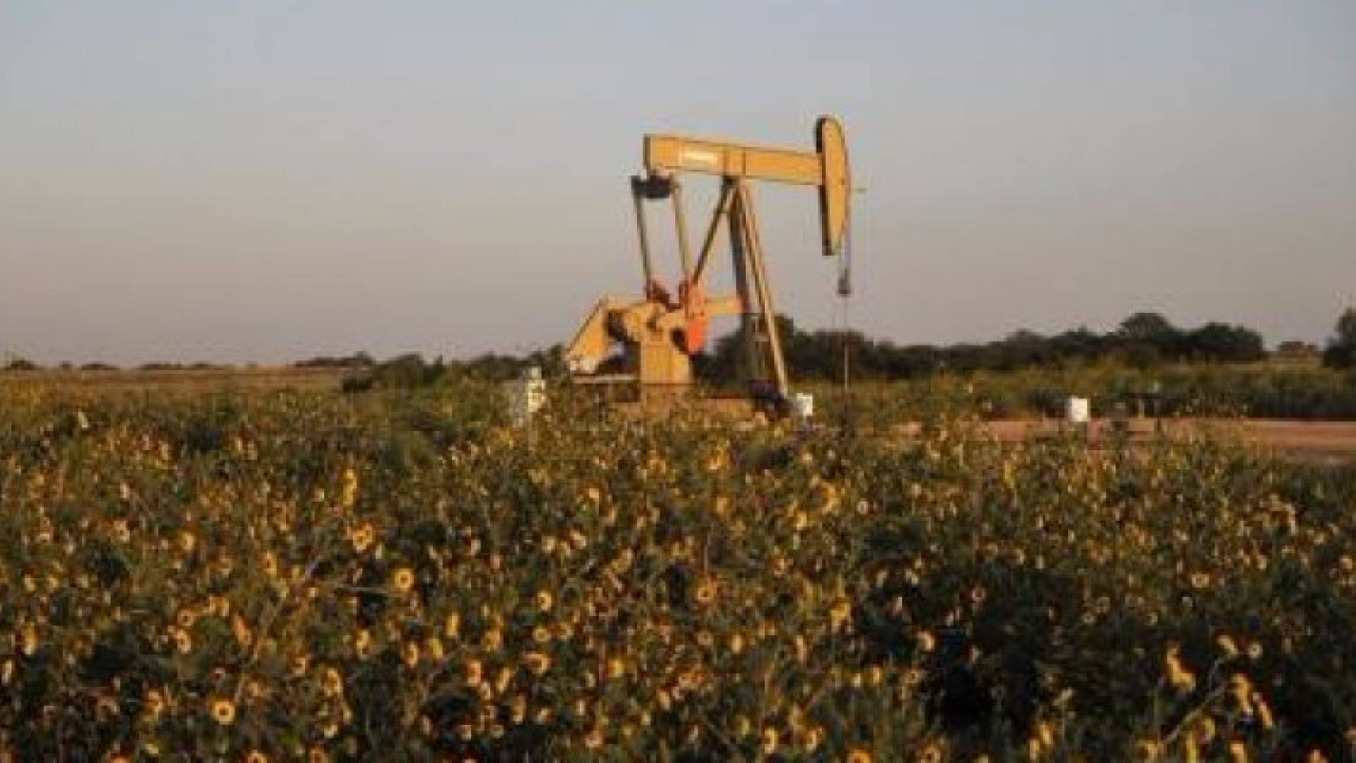 الصورة أرشيفية 