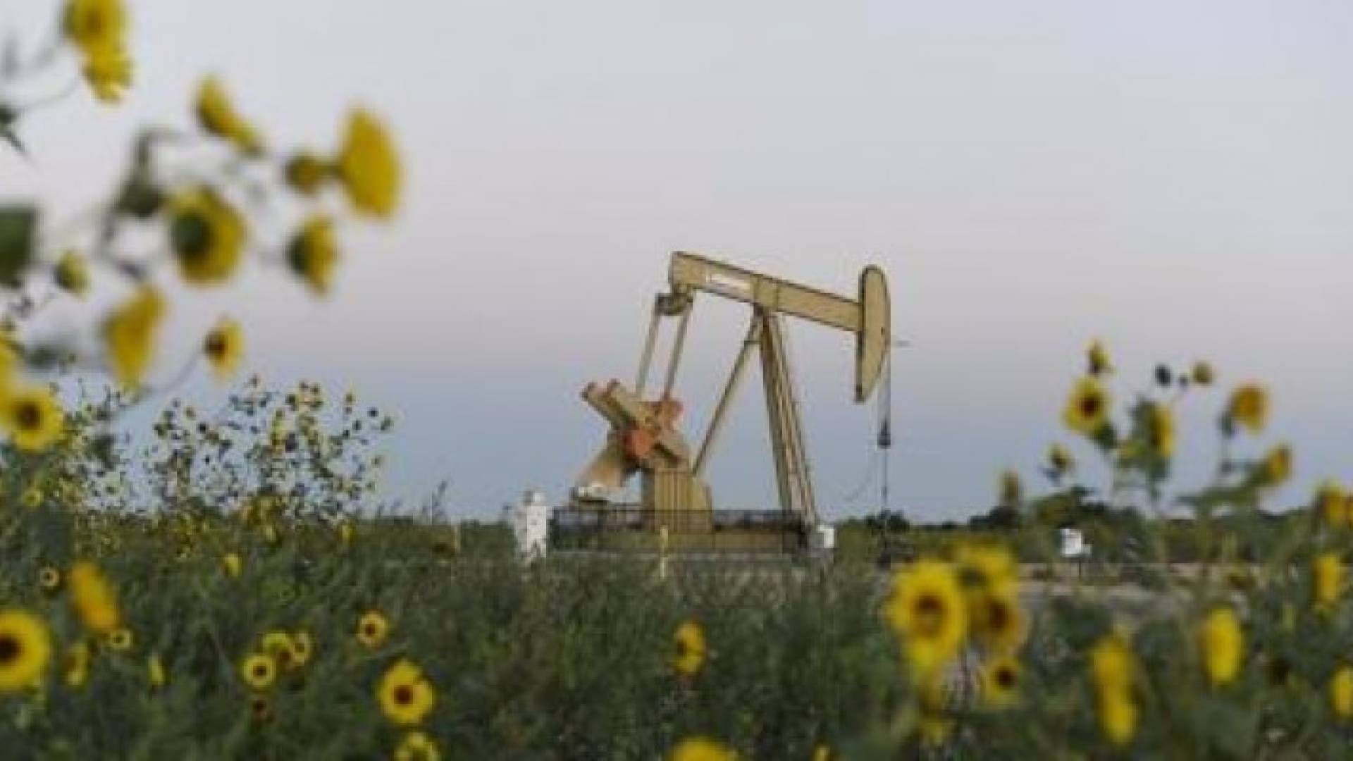 تراجع أسعار النفط مع صعود الدولار