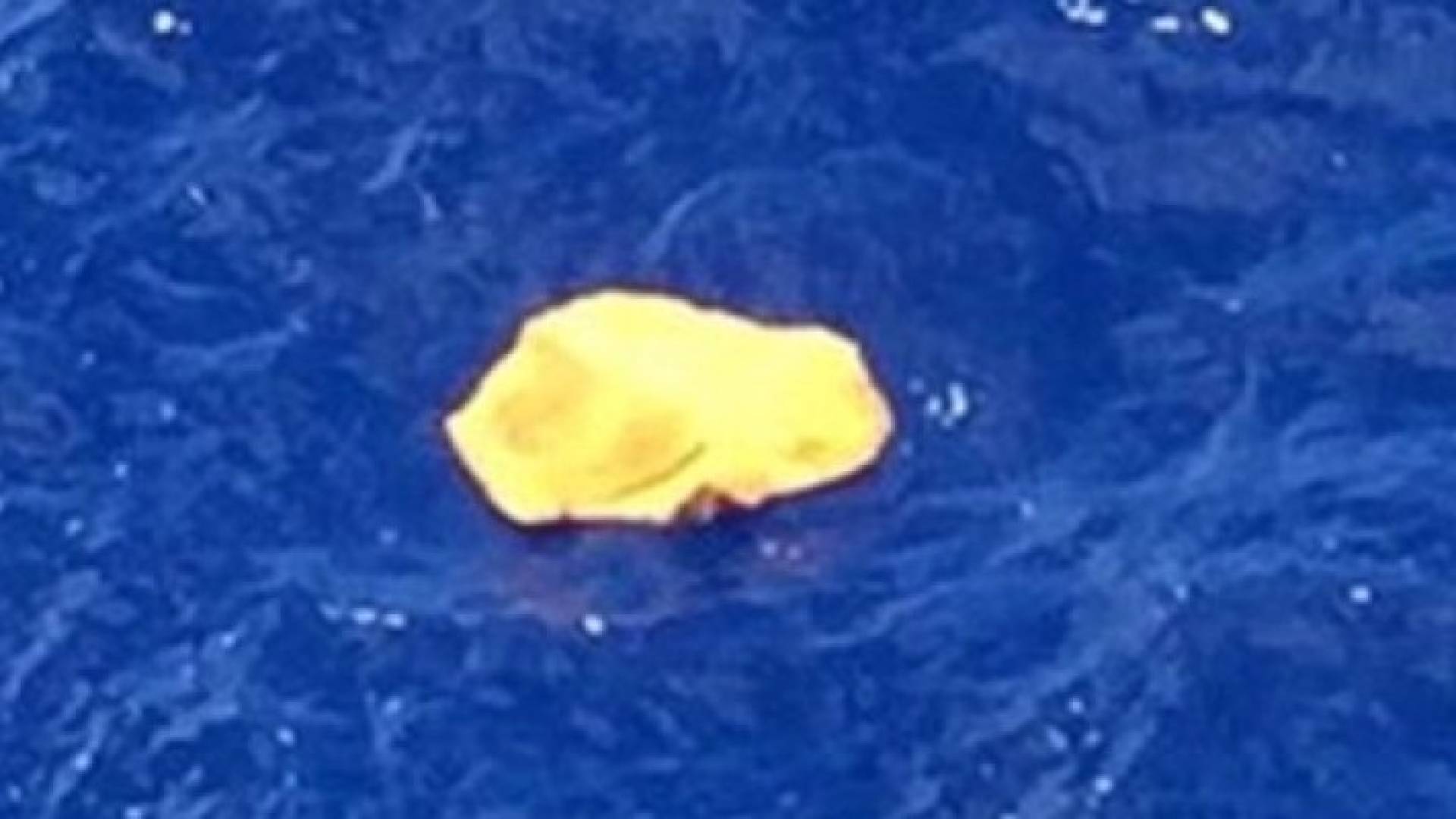 العثور على حطام الطائرة المصرية المنكوبة.. تأكيد ونفي