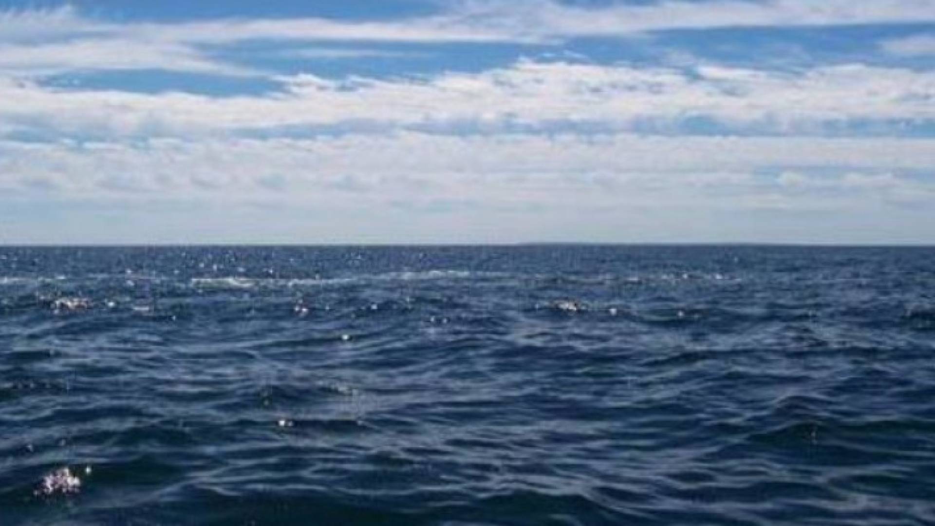 رصد ما يبدو انه بقعة نفط قرب مكان تحطم الطائرة المصرية ..فيديو