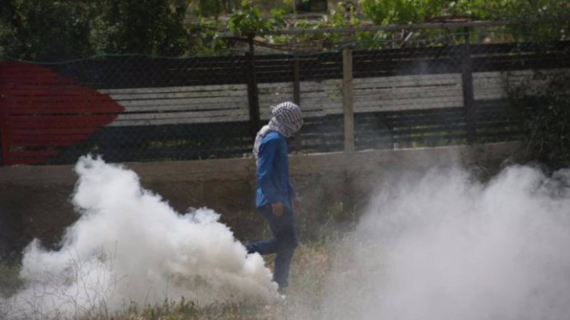 صورة أرشيفية