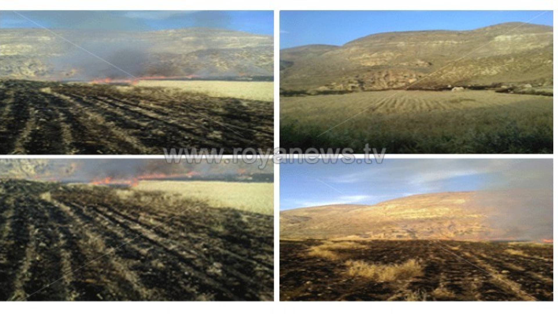 الدفاع المدني يخمد حريقا شب في محصول زراعي بالكرك