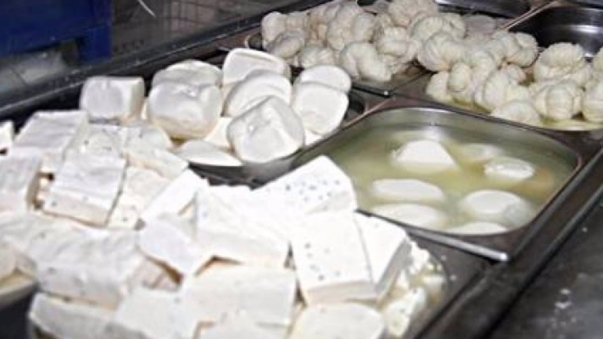 اتلاف طن من الاجبان غير الصالحة في جرش